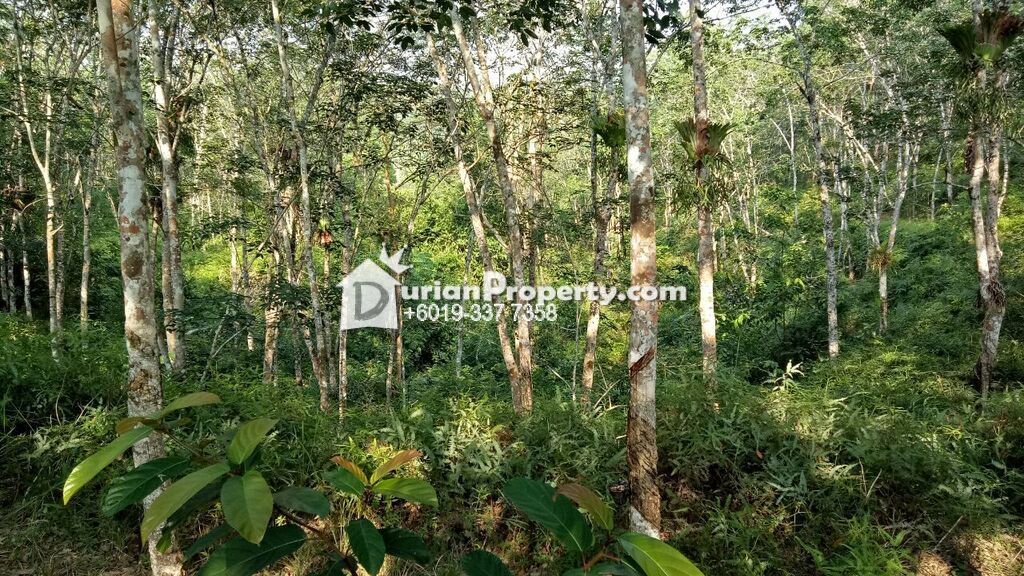 Agriculture Land For Sale At Raub