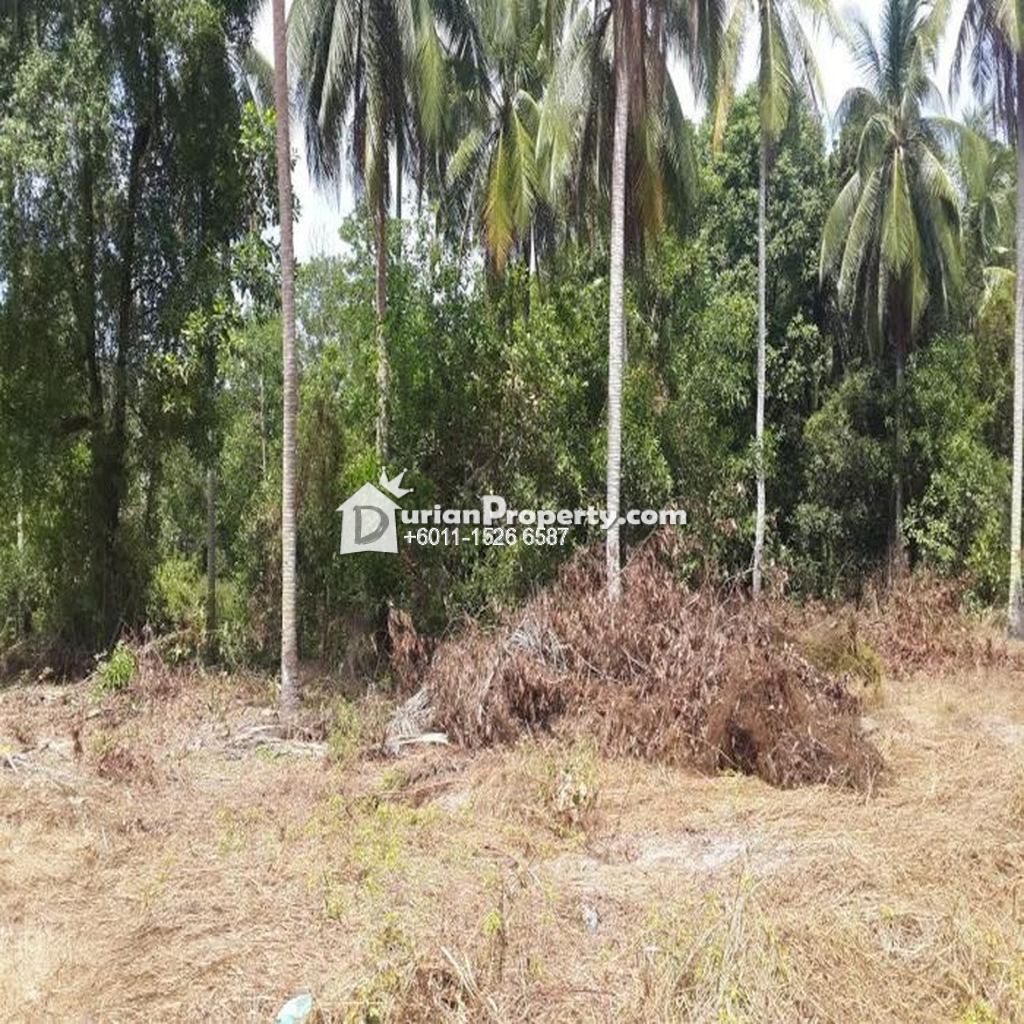agriculture land for sale in malaysia