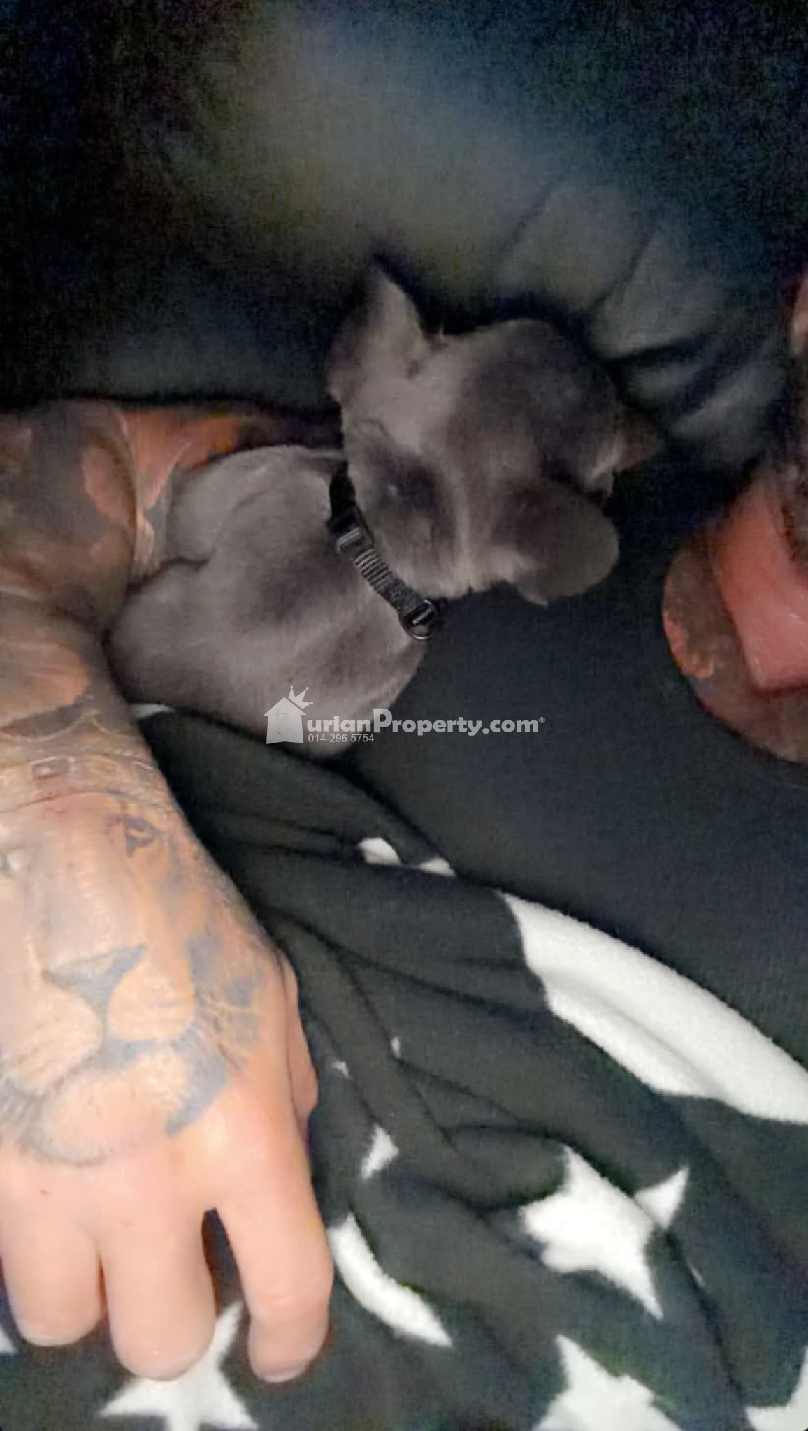 Condo Room for Rent at Damansara City Residency