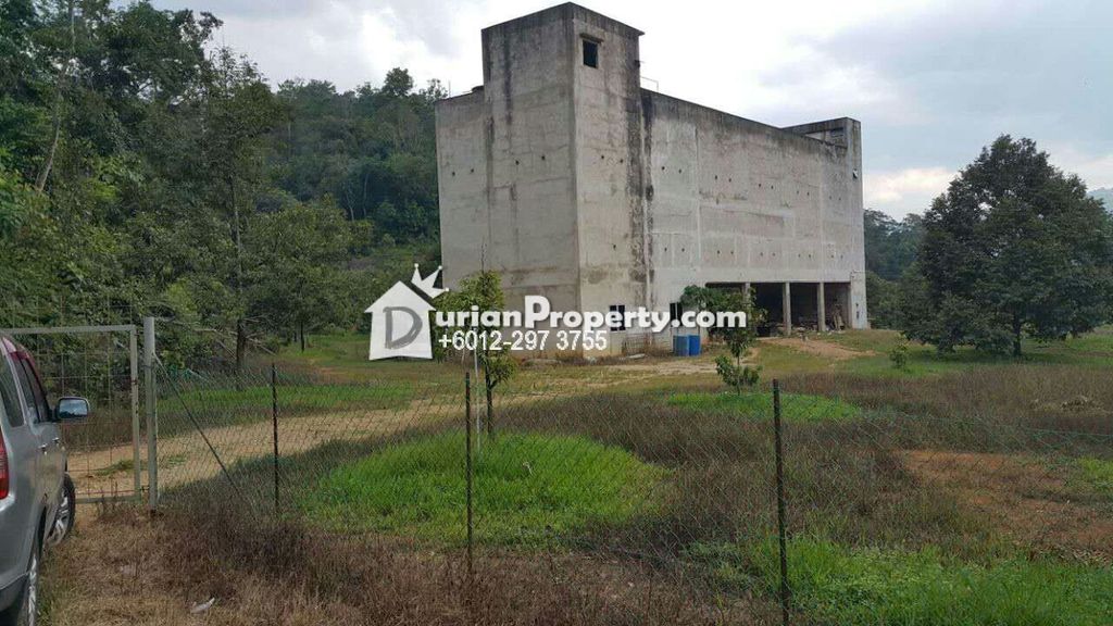 Agriculture Land For Sale At Bentong Pahang For Rm 150 000 By Sam Lee Durianproperty
