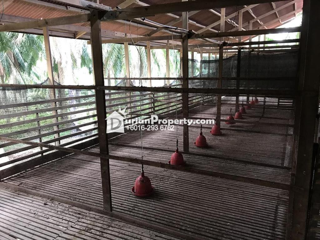 Durianproperty Com My Malaysia Properties For Sale Rent And Auction Community Online