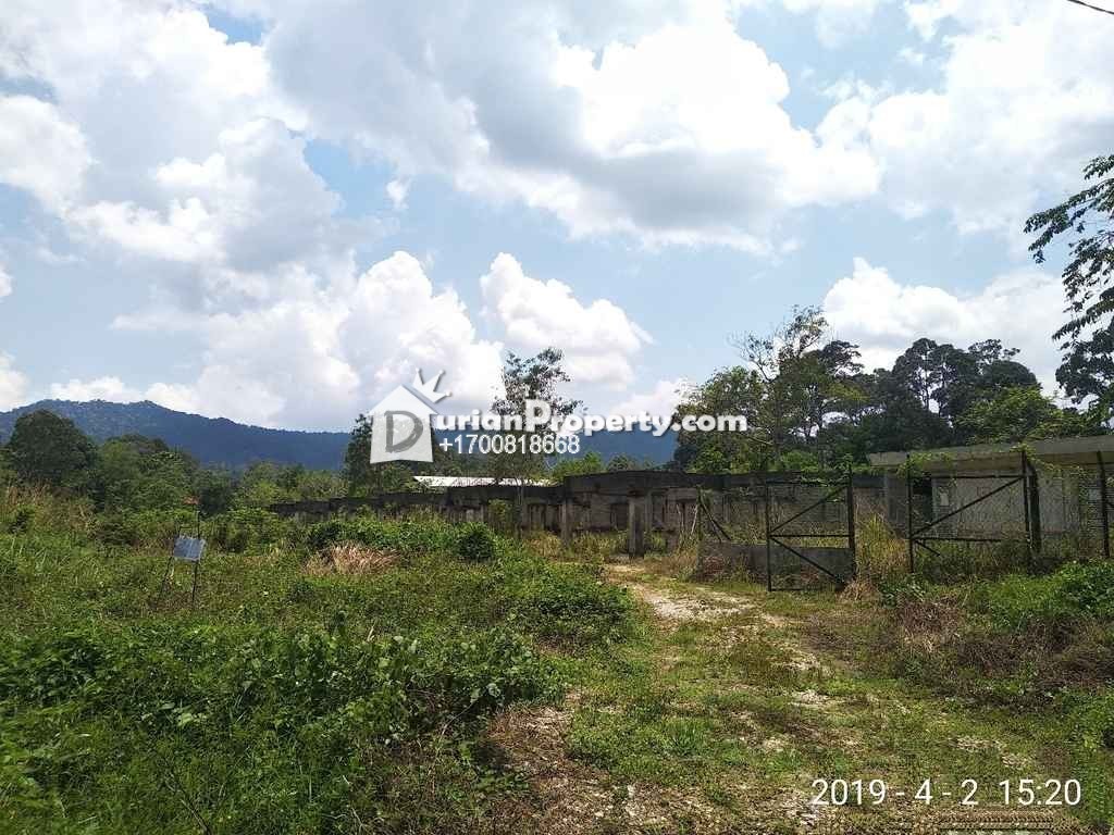 Residential Land For Auction at Hulu Langat, Selangor