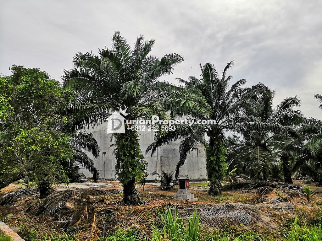 Agriculture Land For Sale at Telok Panglima Garang ...