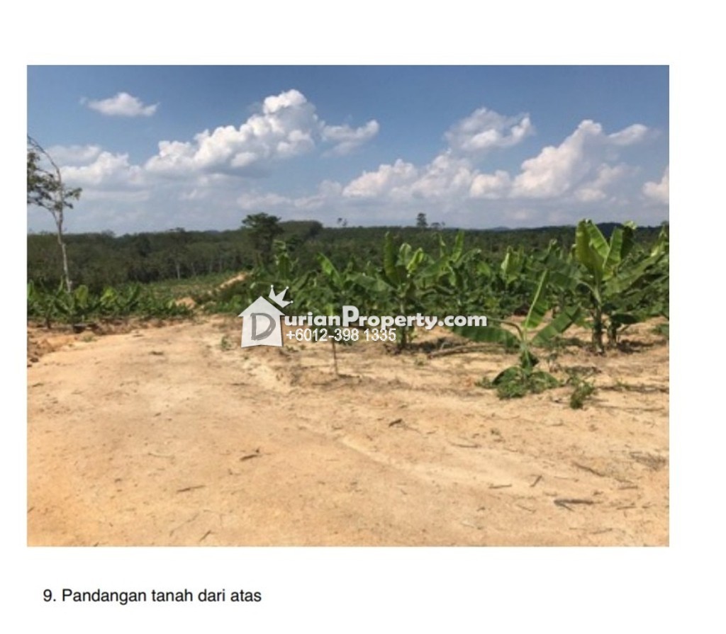 Agriculture Land For Sale at Kuala Pilah, Negeri Sembilan for RM 55,000