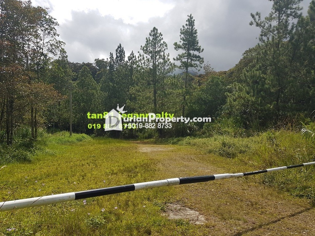 Residential Land For Sale At Kundasang Sabah For Rm 500 000 By Ch Martin Tan Sai Khun Durianproperty