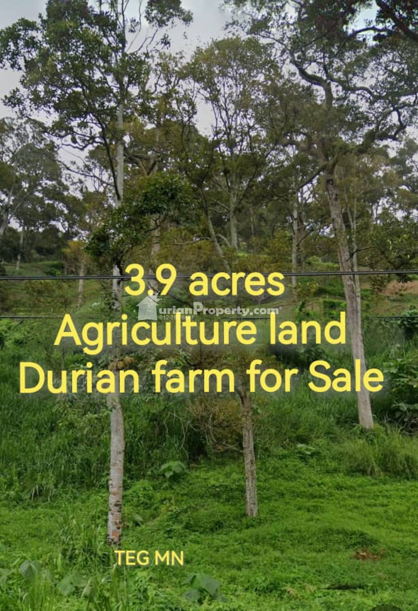 Agriculture Land For Sale at Melaka Tengah