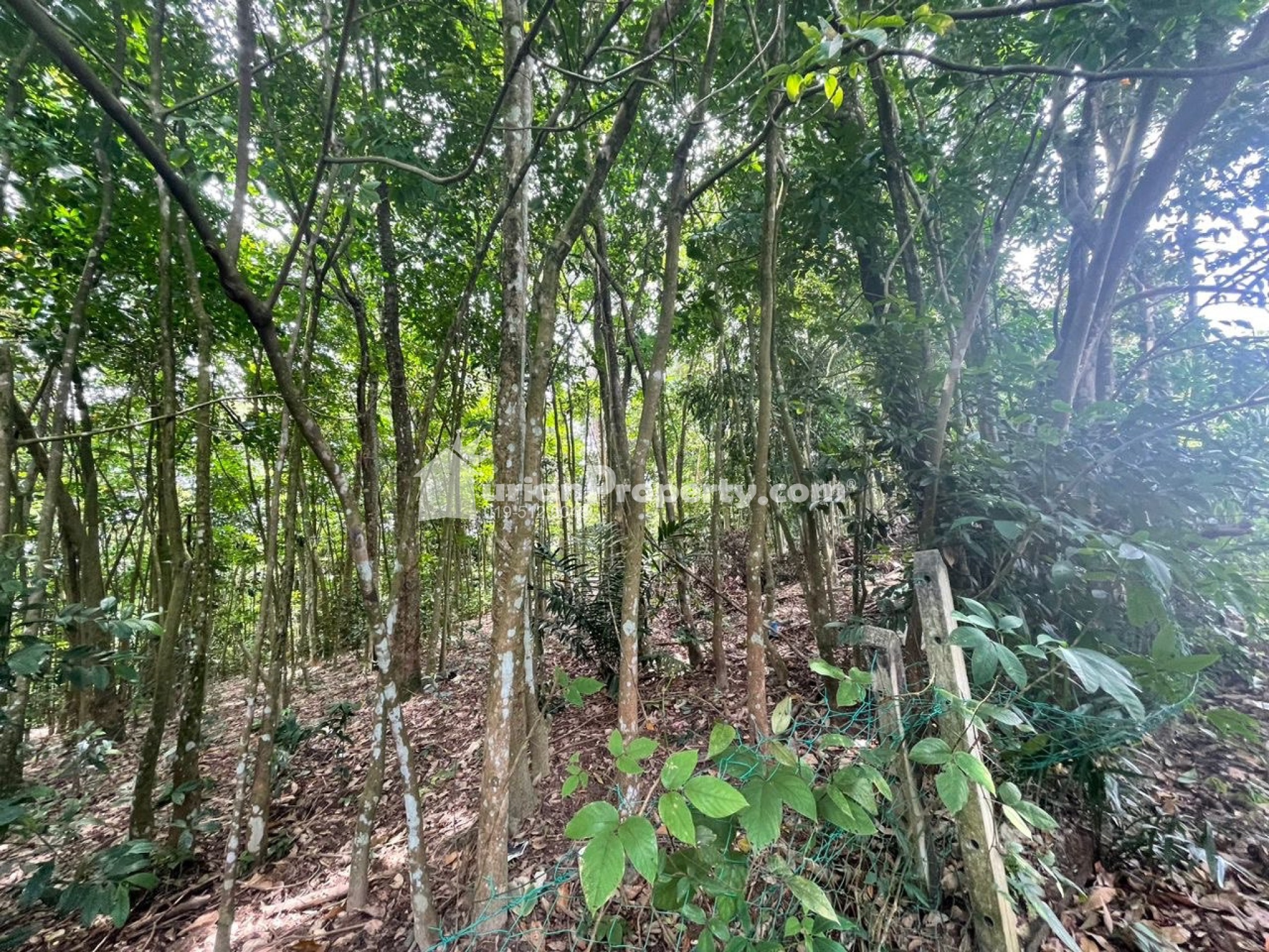 Agriculture Land For Sale at Kuang