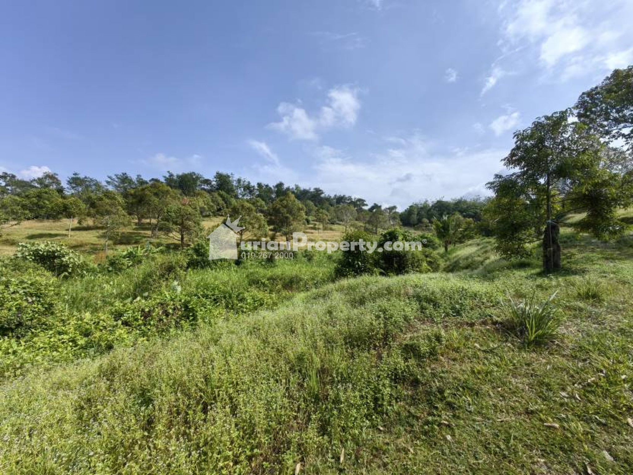 Agriculture Land For Sale at Raub