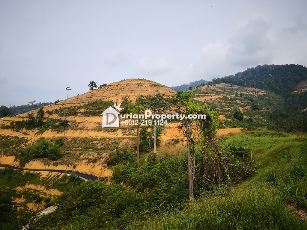 Residential Land For Sale At Karak Pahang For Rm 350 000 By Neel Durianproperty