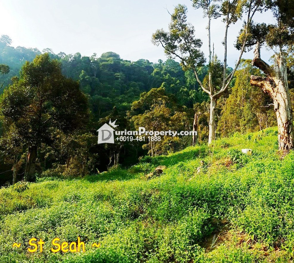 Agriculture Land For Sale At Seberang Perai Penang For Rm 1 750 000 By Seah Durianproperty