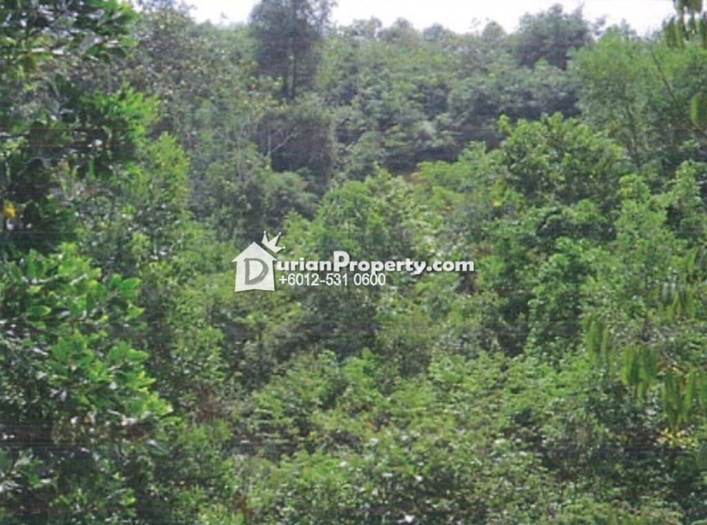 Residential Land For Sale At Bentong Pahang For Rm 110 000 By Hannah Durianproperty