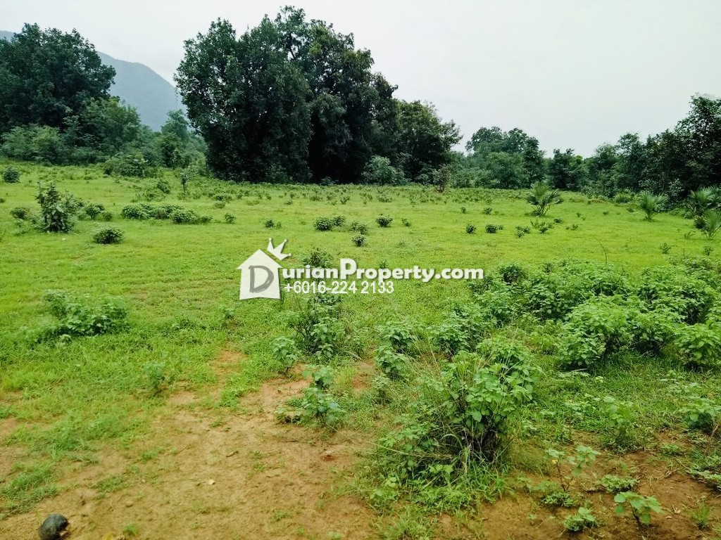 Agriculture Land For Sale at Mentakab, Pahang