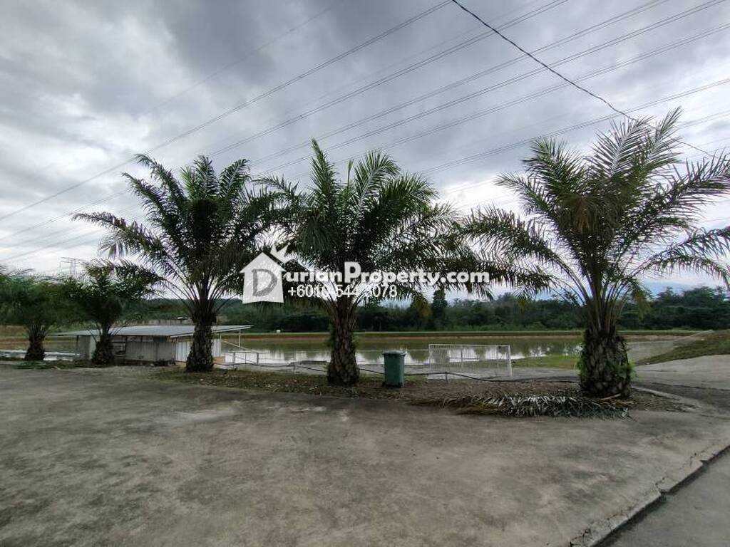 Agriculture Land For Sale at Tanjung Malim, Perak