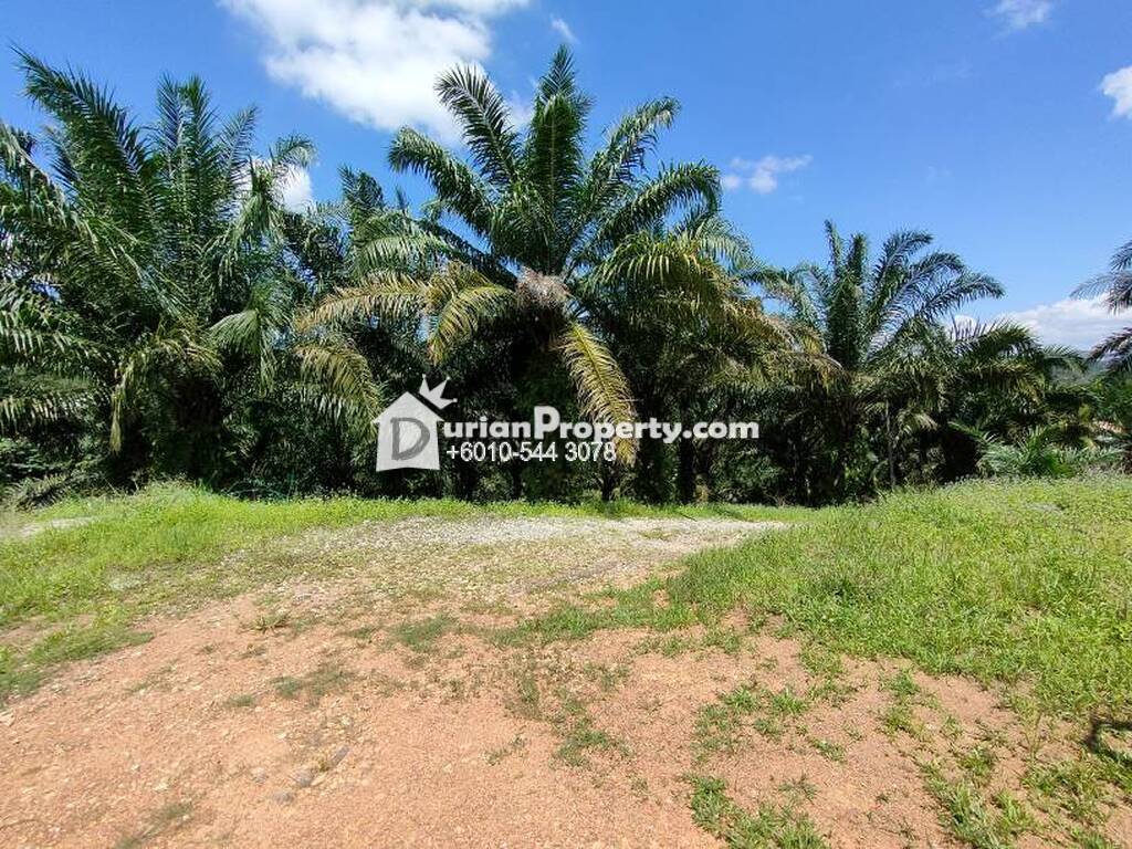 Agriculture Land For Sale at Kuala Kubu Baru, Hulu Selangor