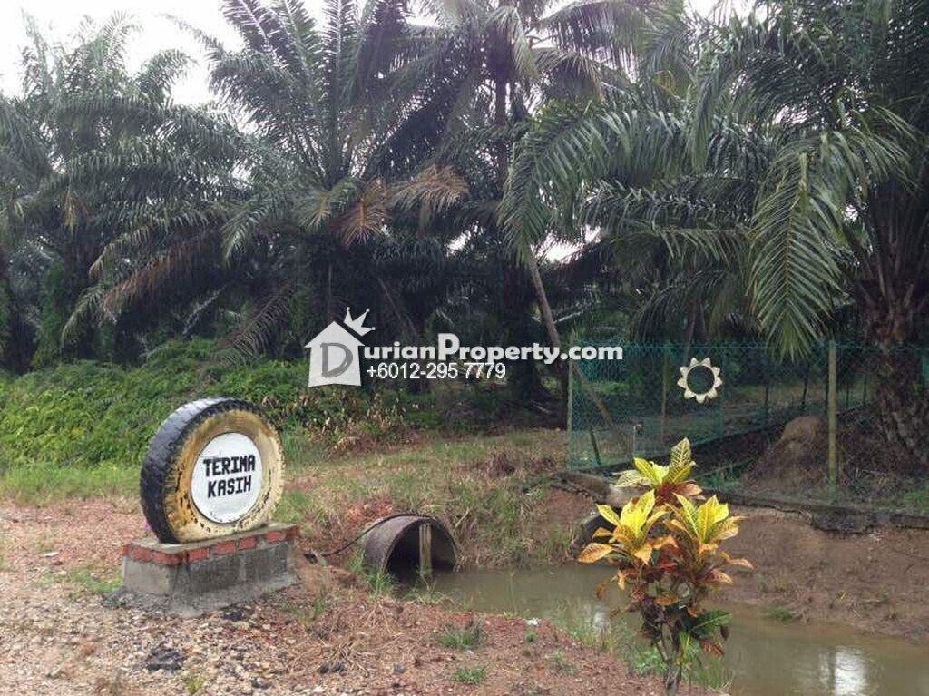 Agriculture Land For Sale at Pontian, Johor