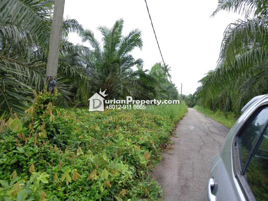 Agriculture Land For Sale at Kuala Selangor, Selangor