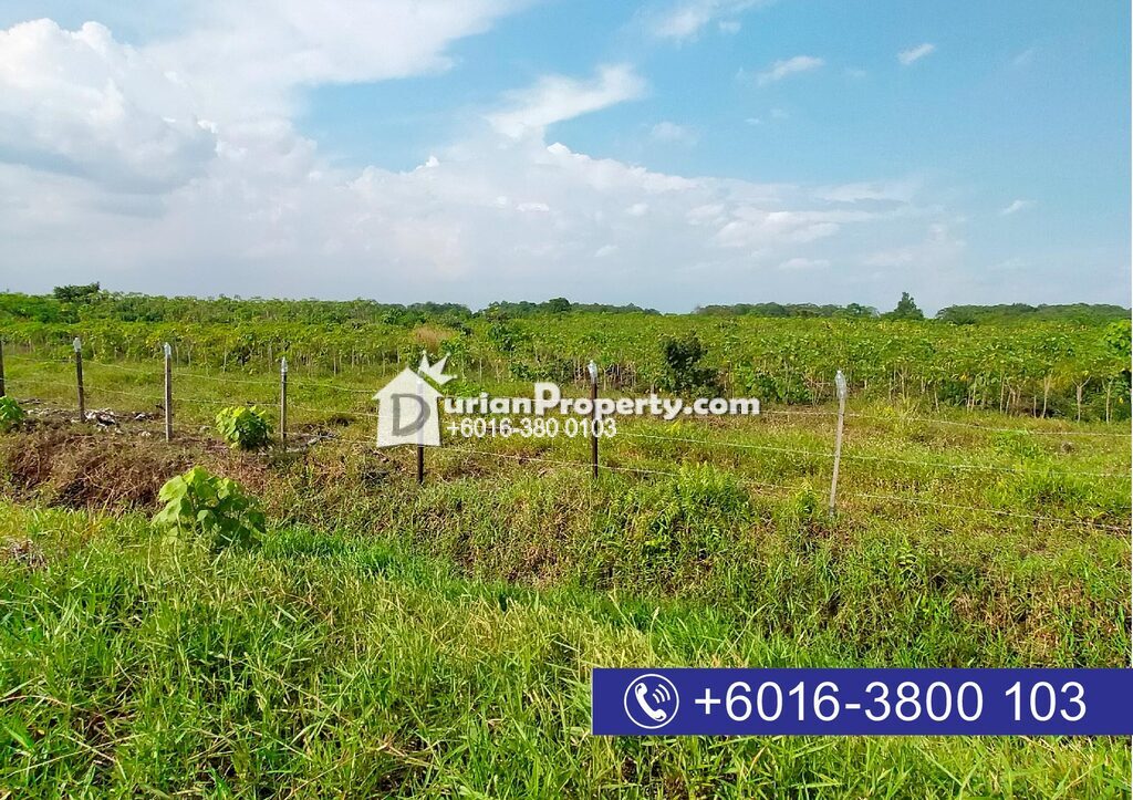 Development Land For Sale at Sijangkang