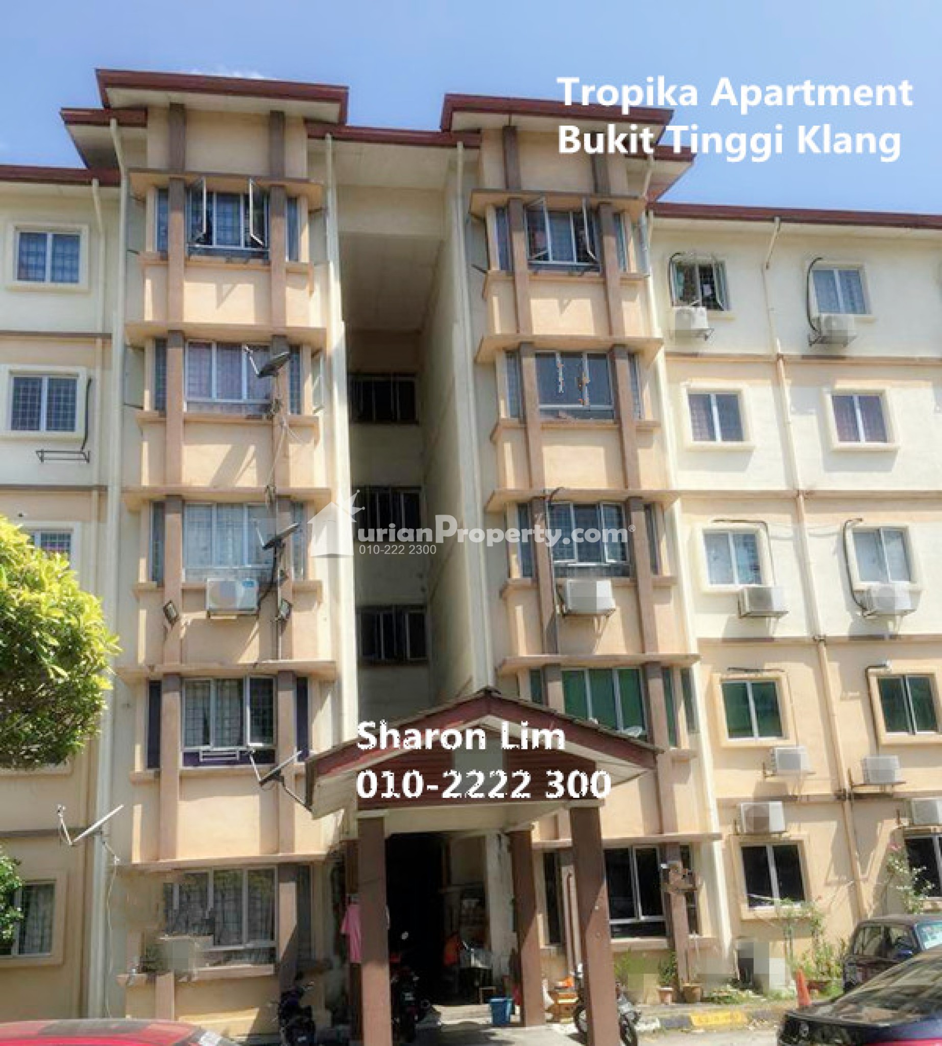 Apartment For Rent at Apartment Tropika