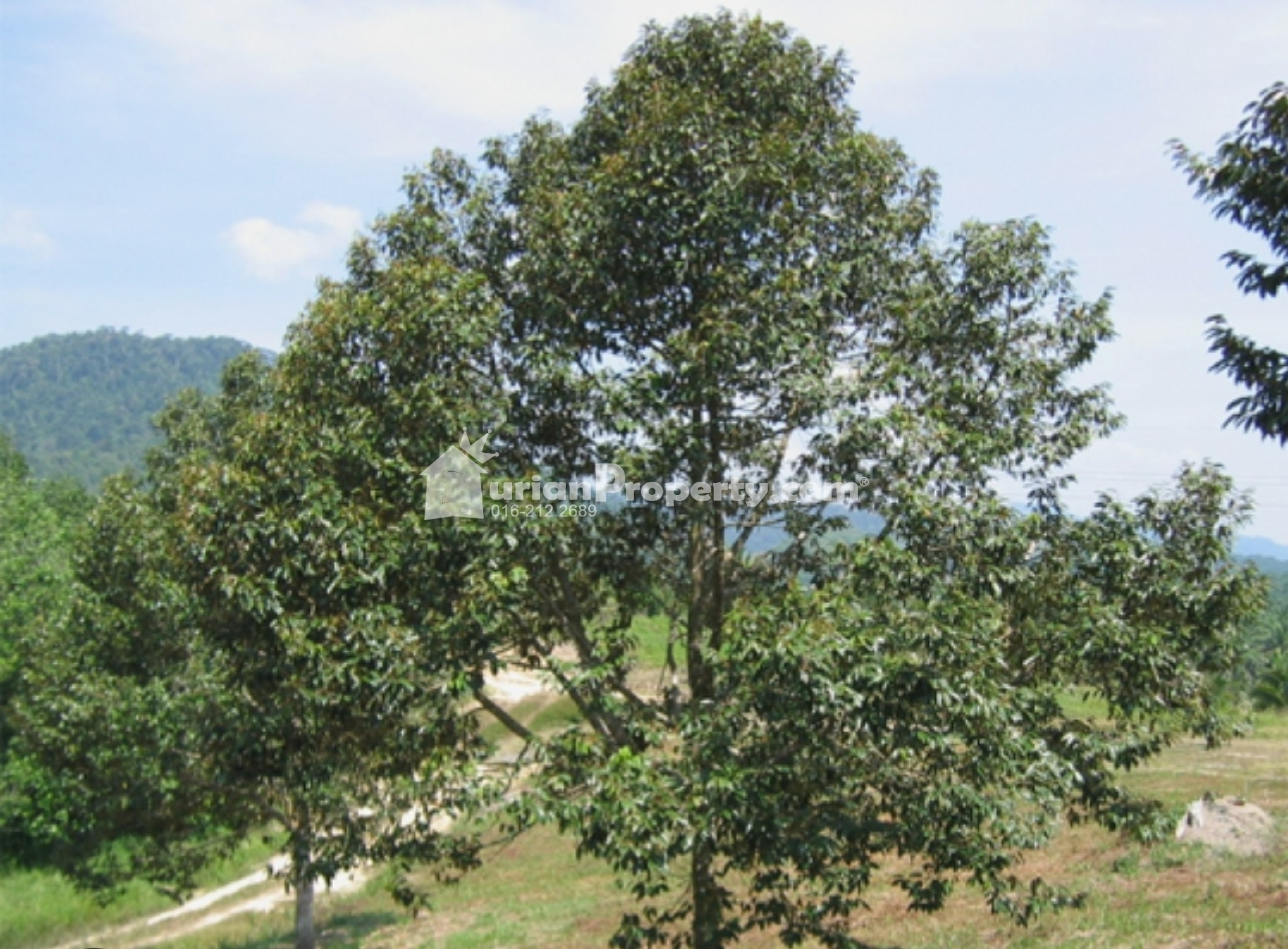 Residential Land For Sale at Rawang