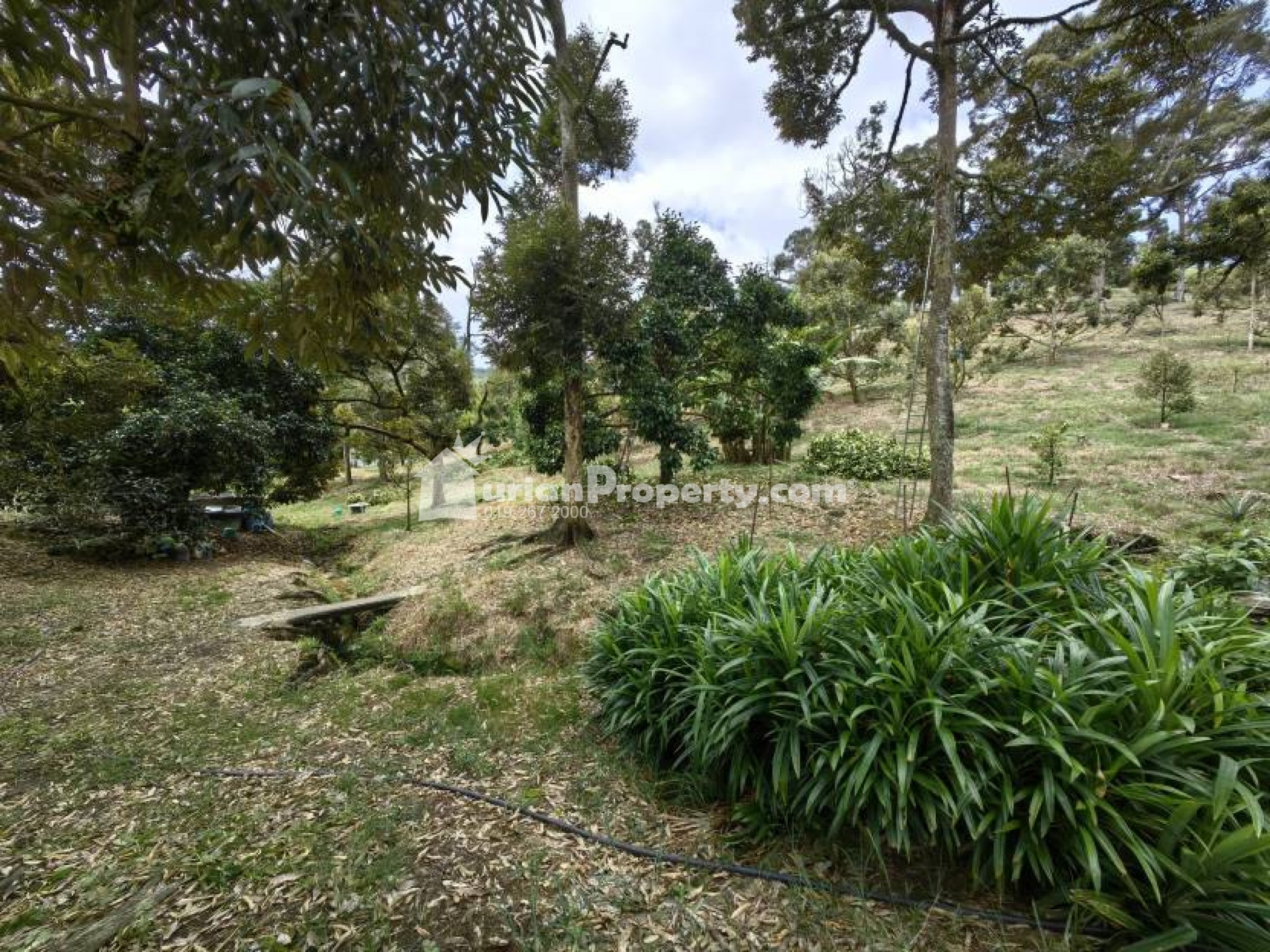 Agriculture Land For Sale at Chenor