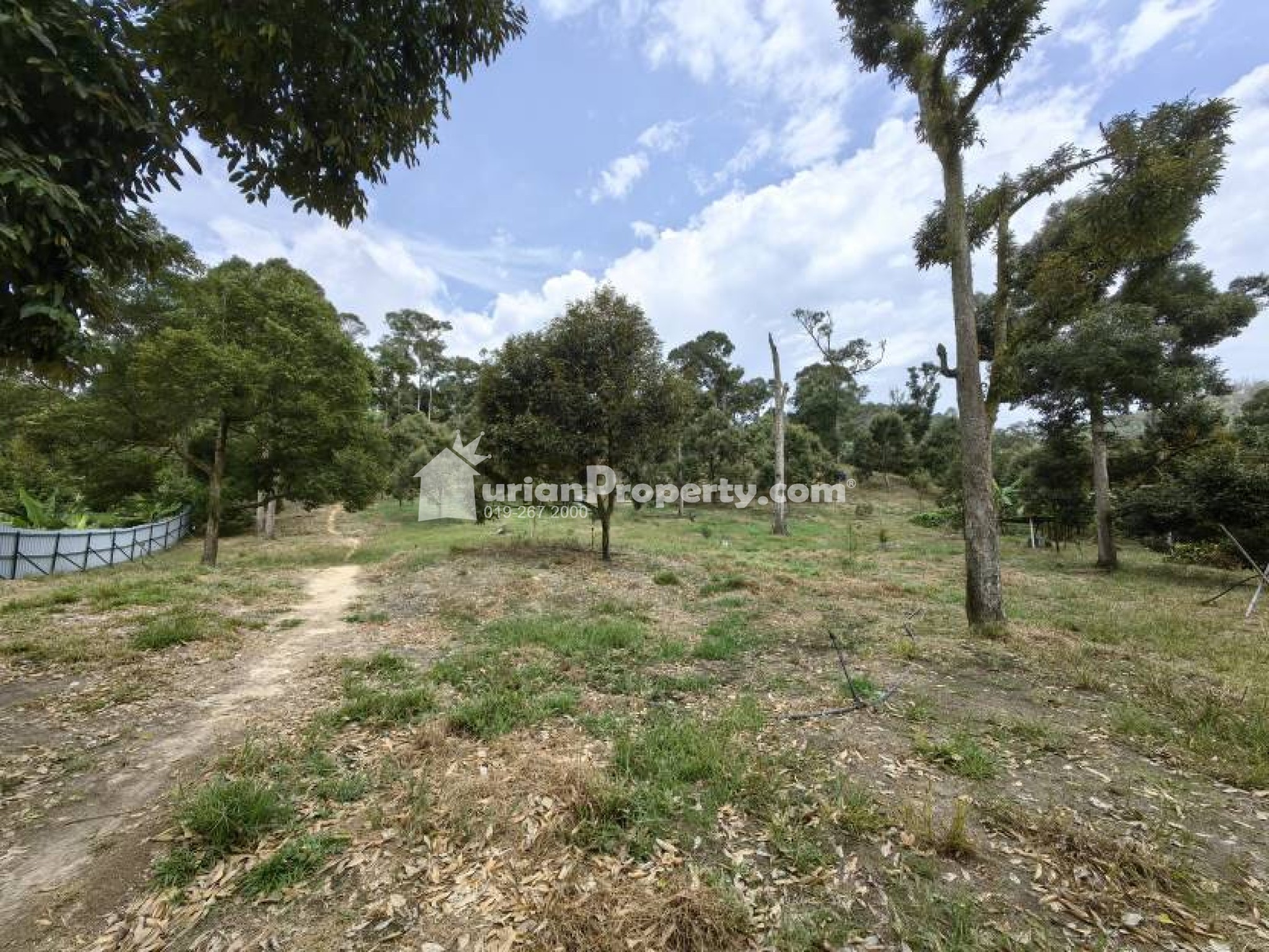 Agriculture Land For Sale at Chenor