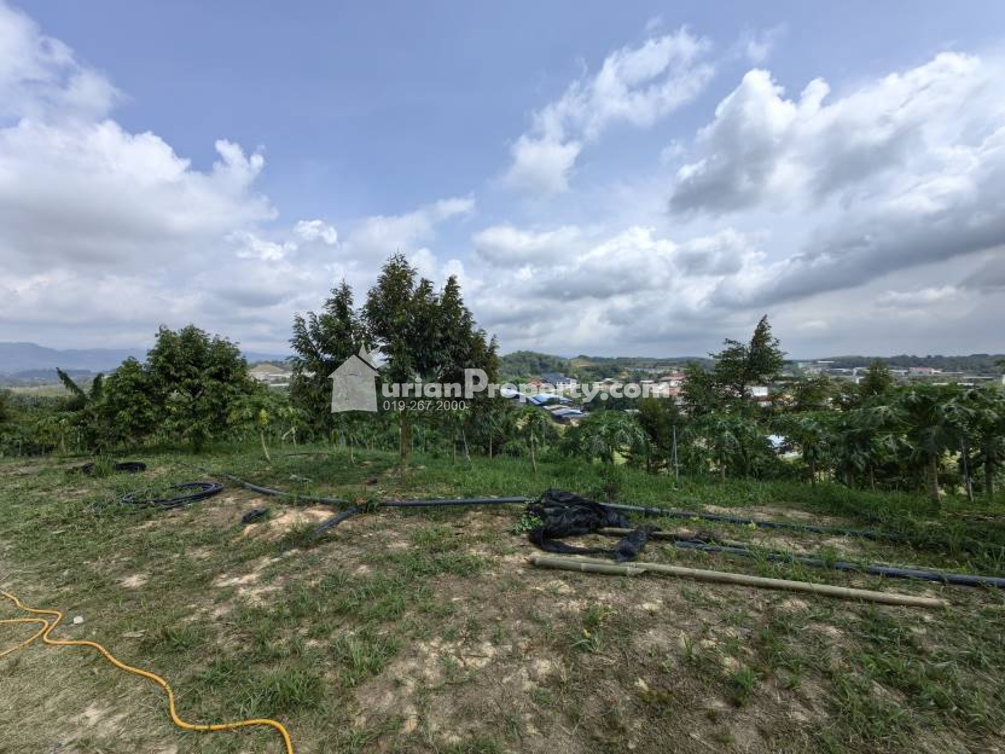 Agriculture Land For Sale at Raub