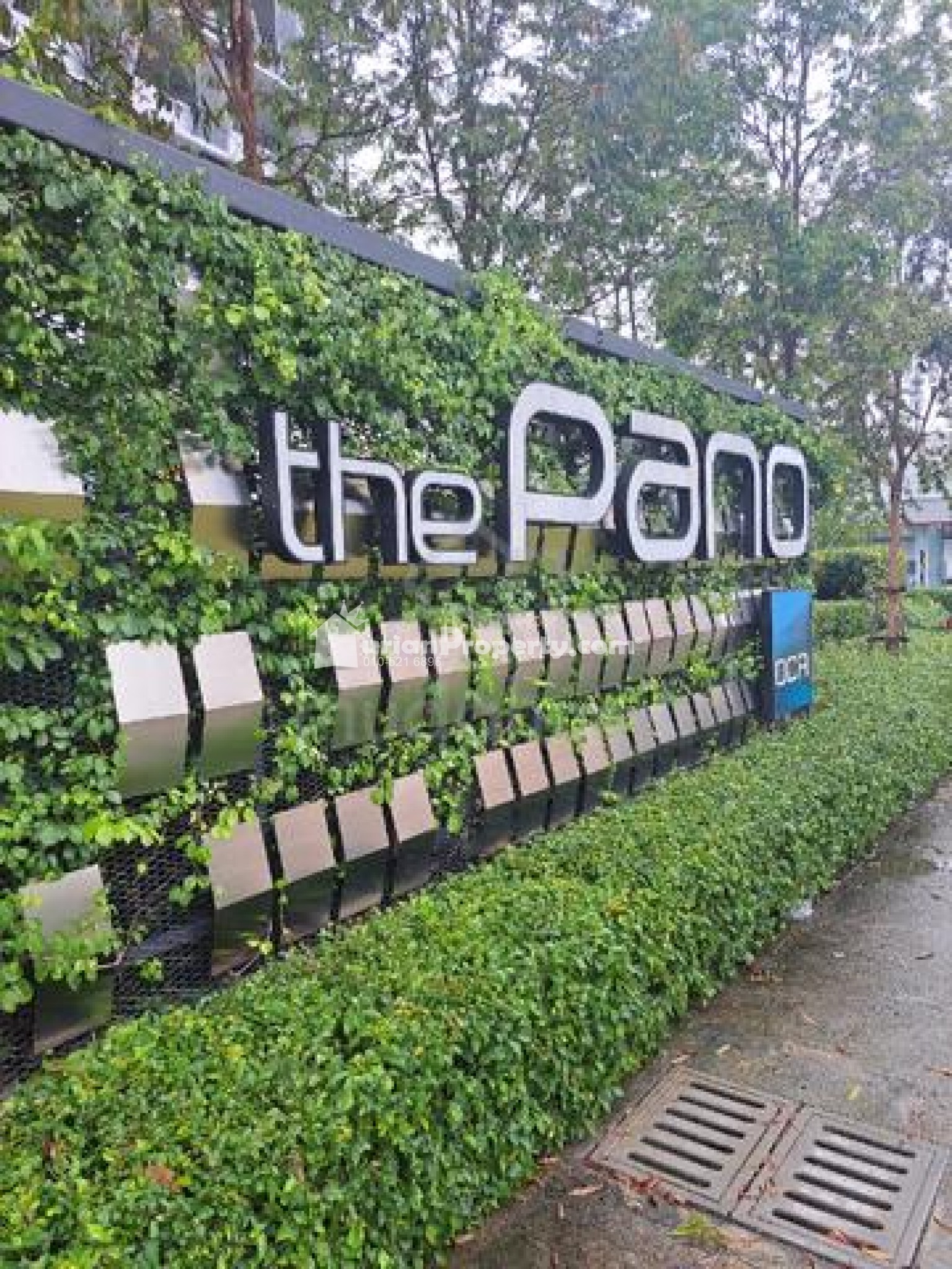 Condo For Rent at The Pano