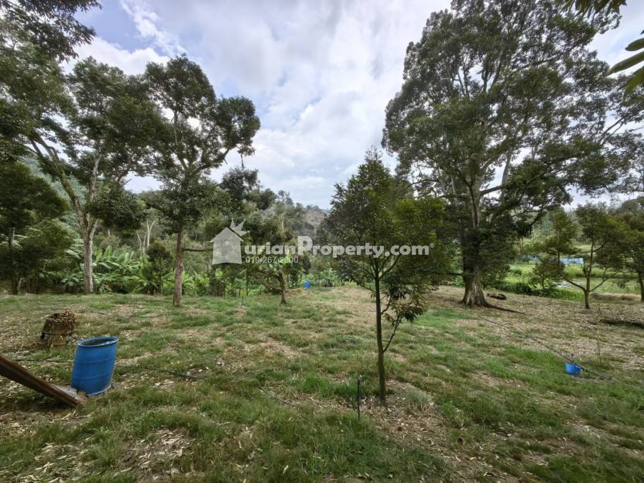 Agriculture Land For Sale at Chenor