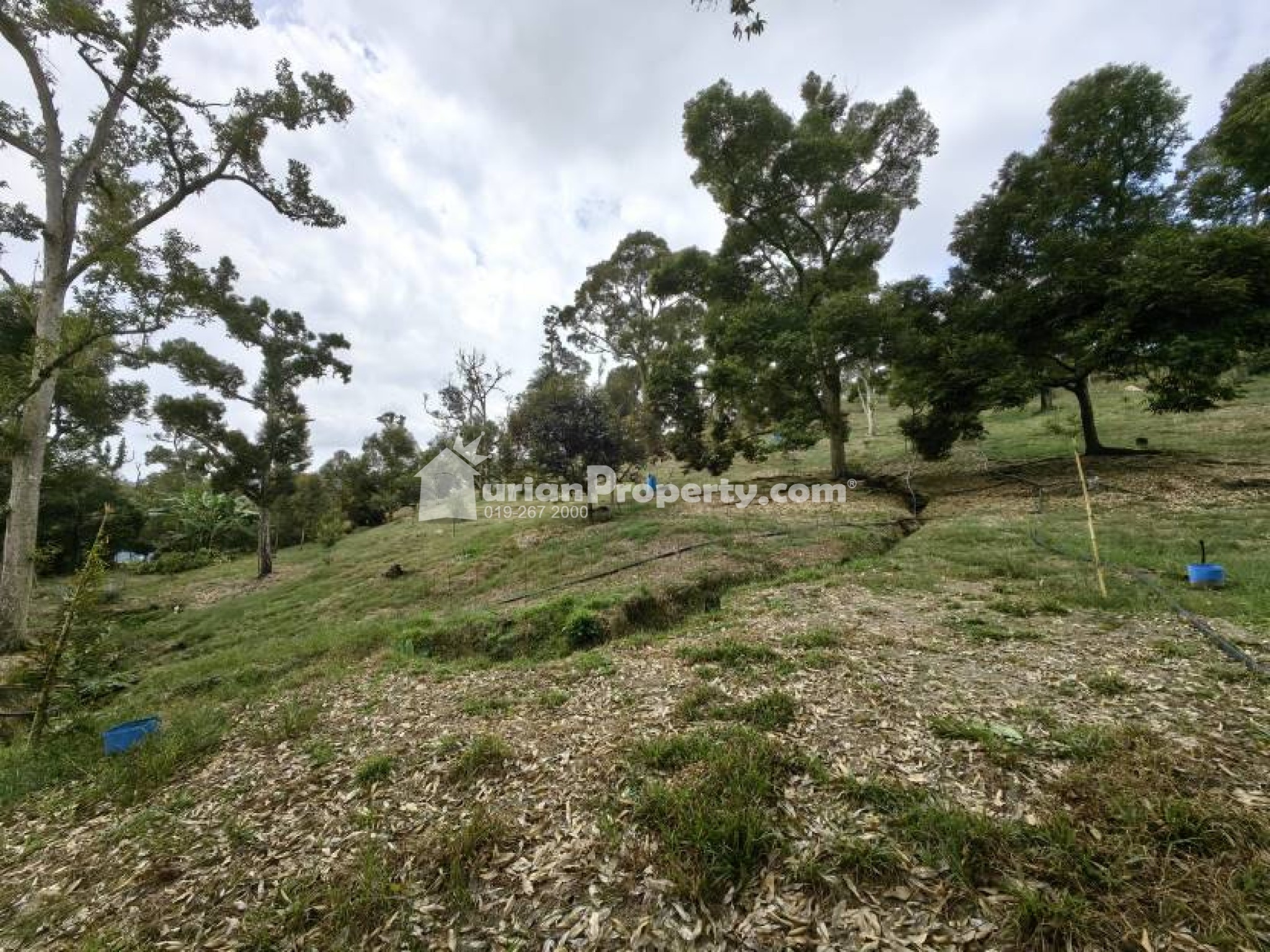 Agriculture Land For Sale at Chenor