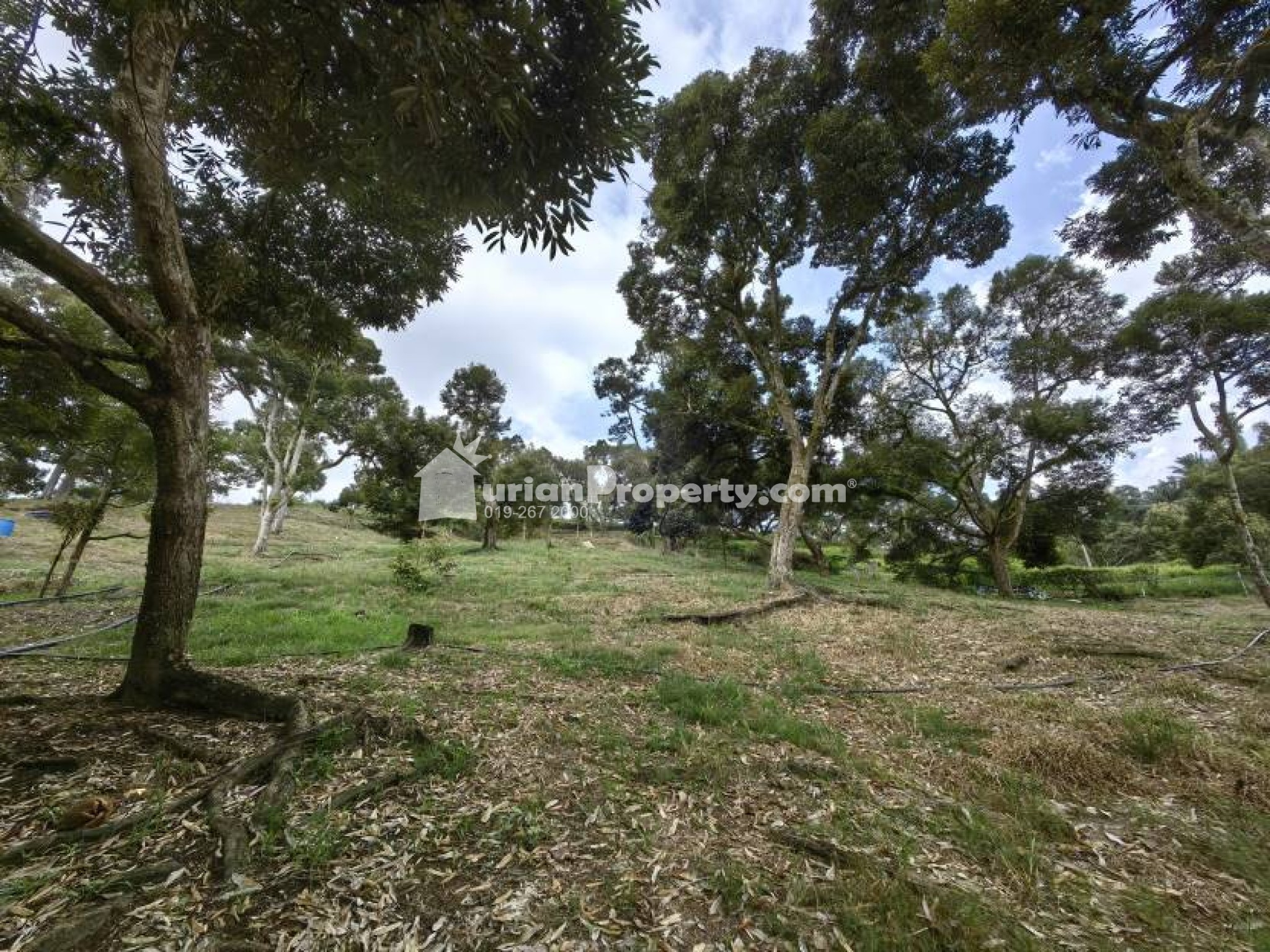 Agriculture Land For Sale at Chenor