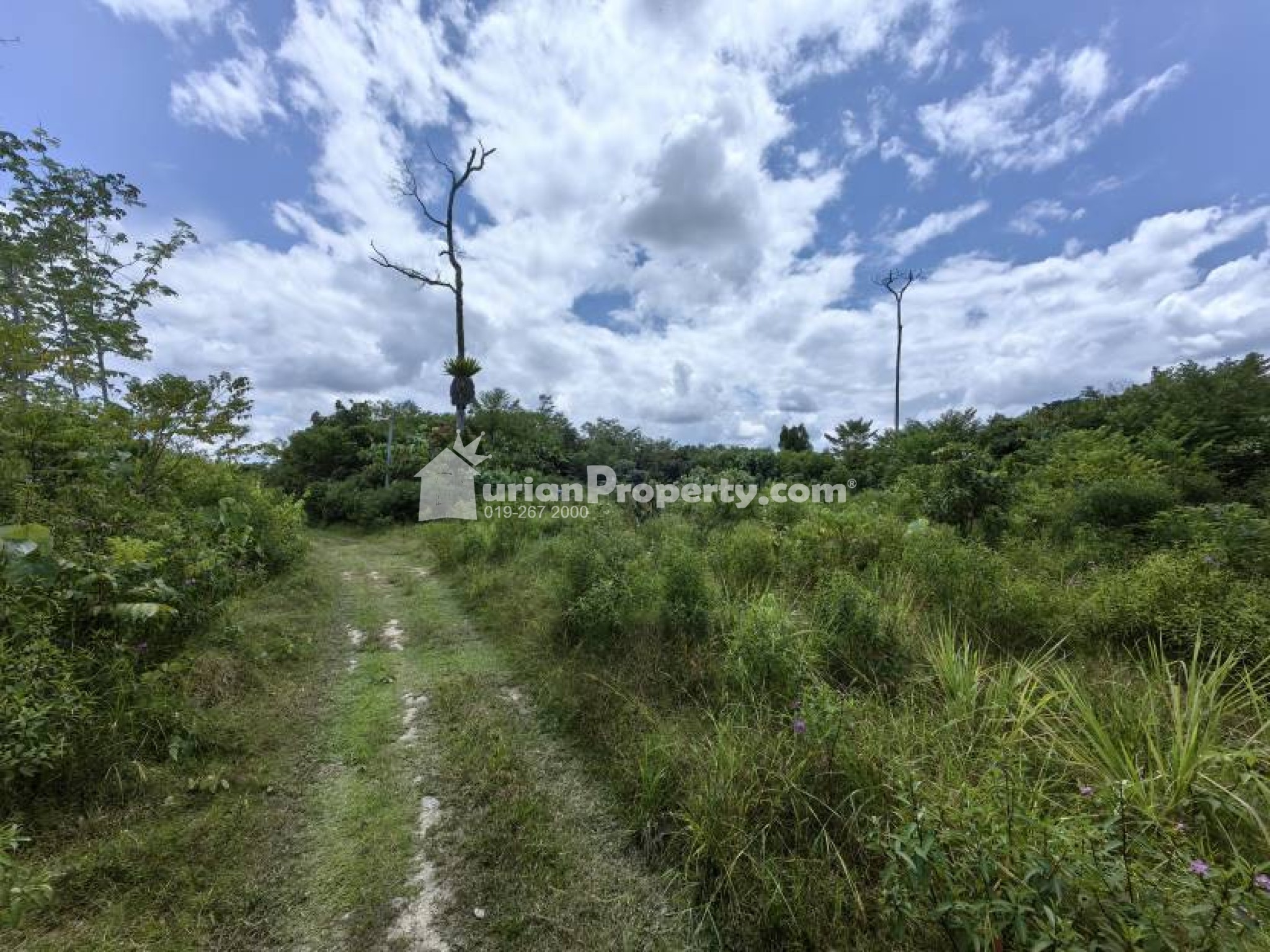 Agriculture Land For Sale at Kuala Lipis