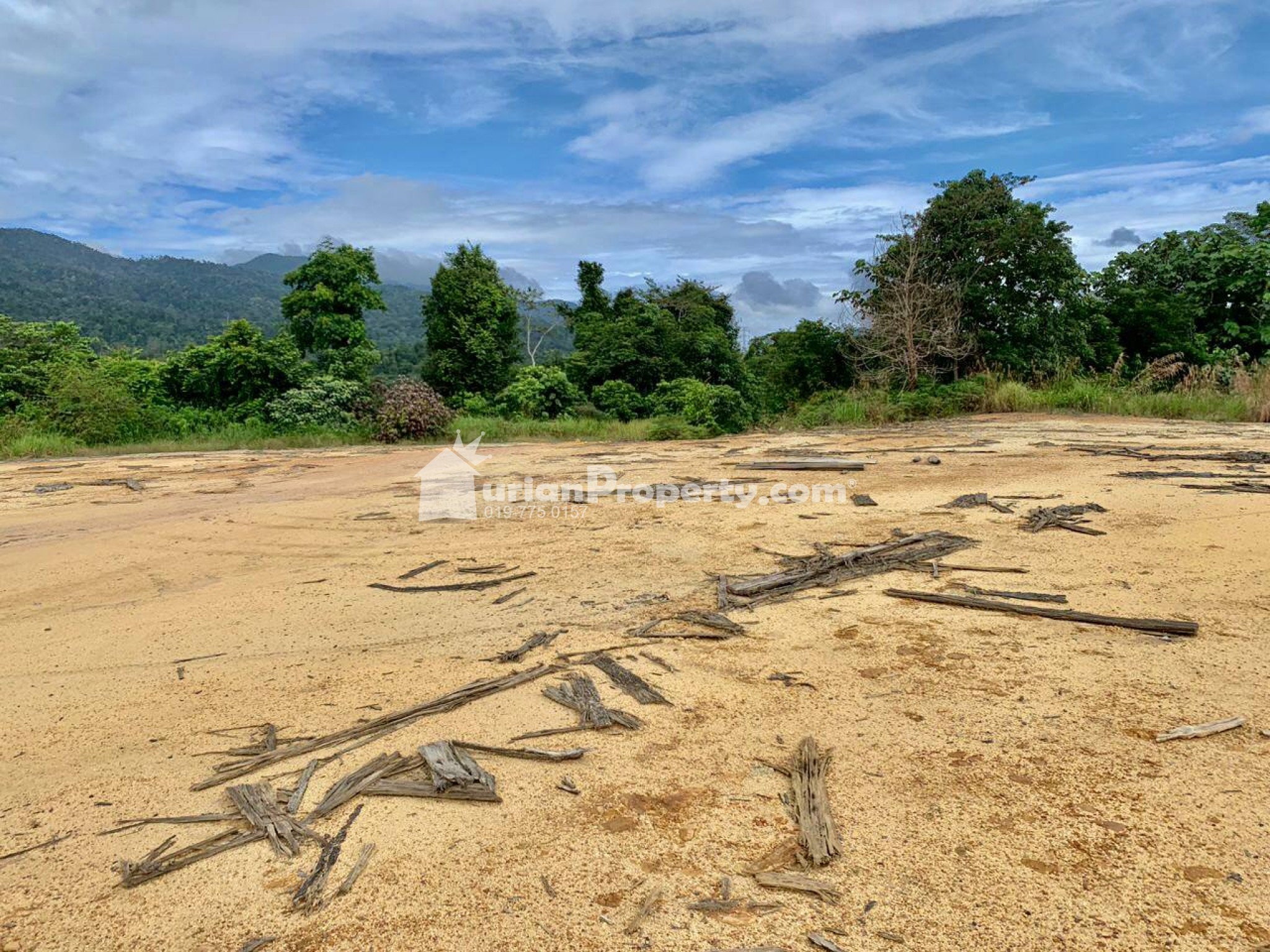 Agriculture Land For Rent at Gambang
