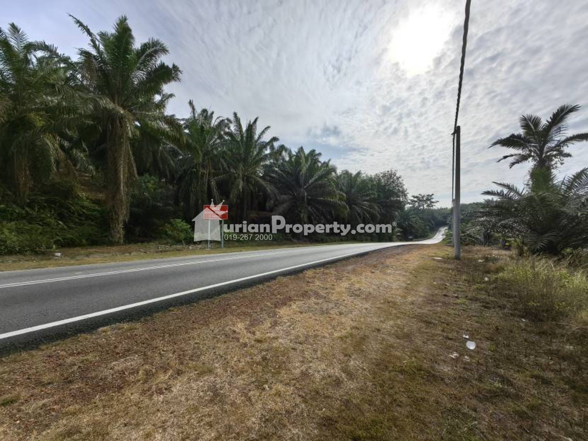 Agriculture Land For Sale at Bera
