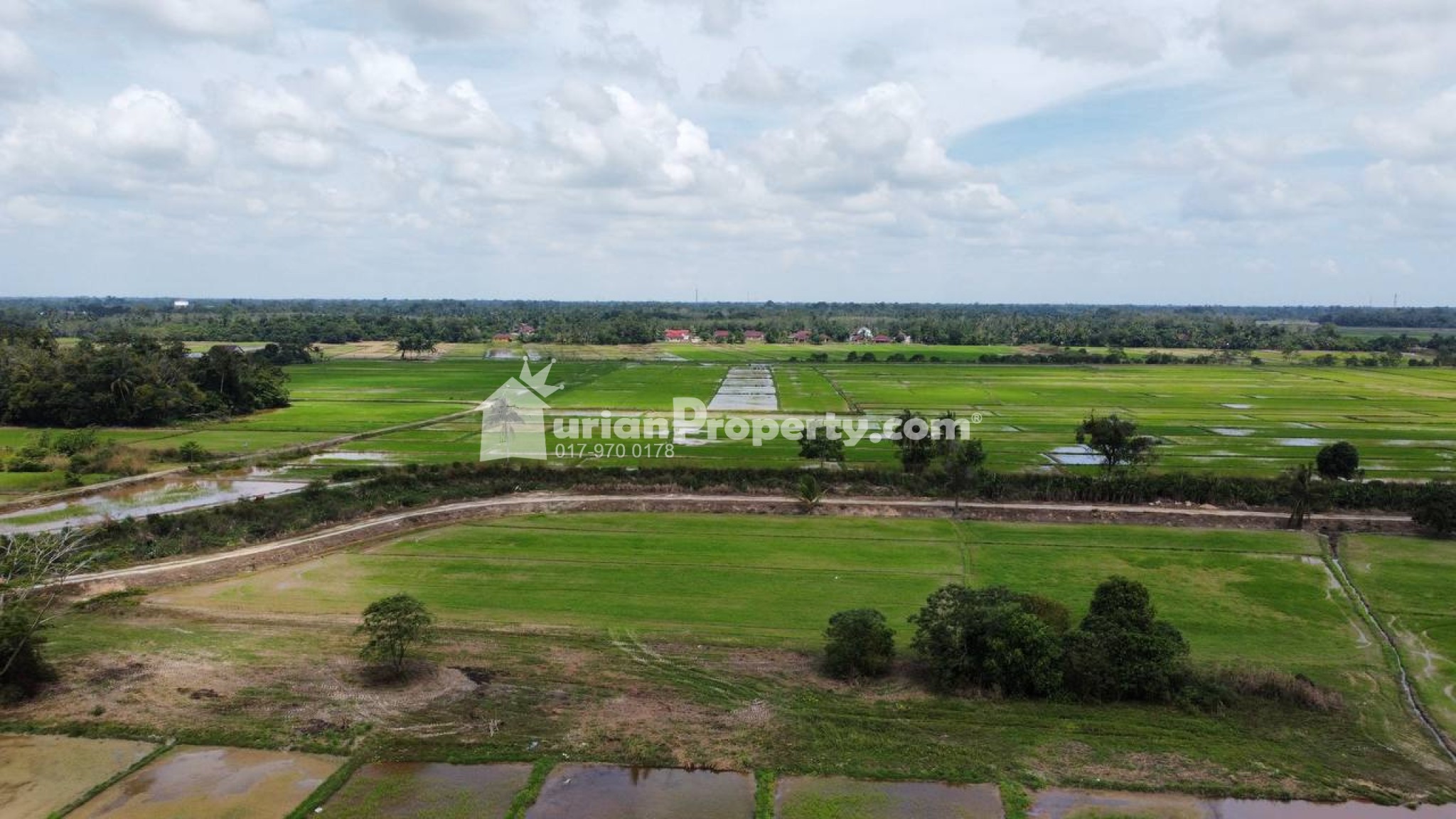 Agriculture Land For Sale at Kota Bharu