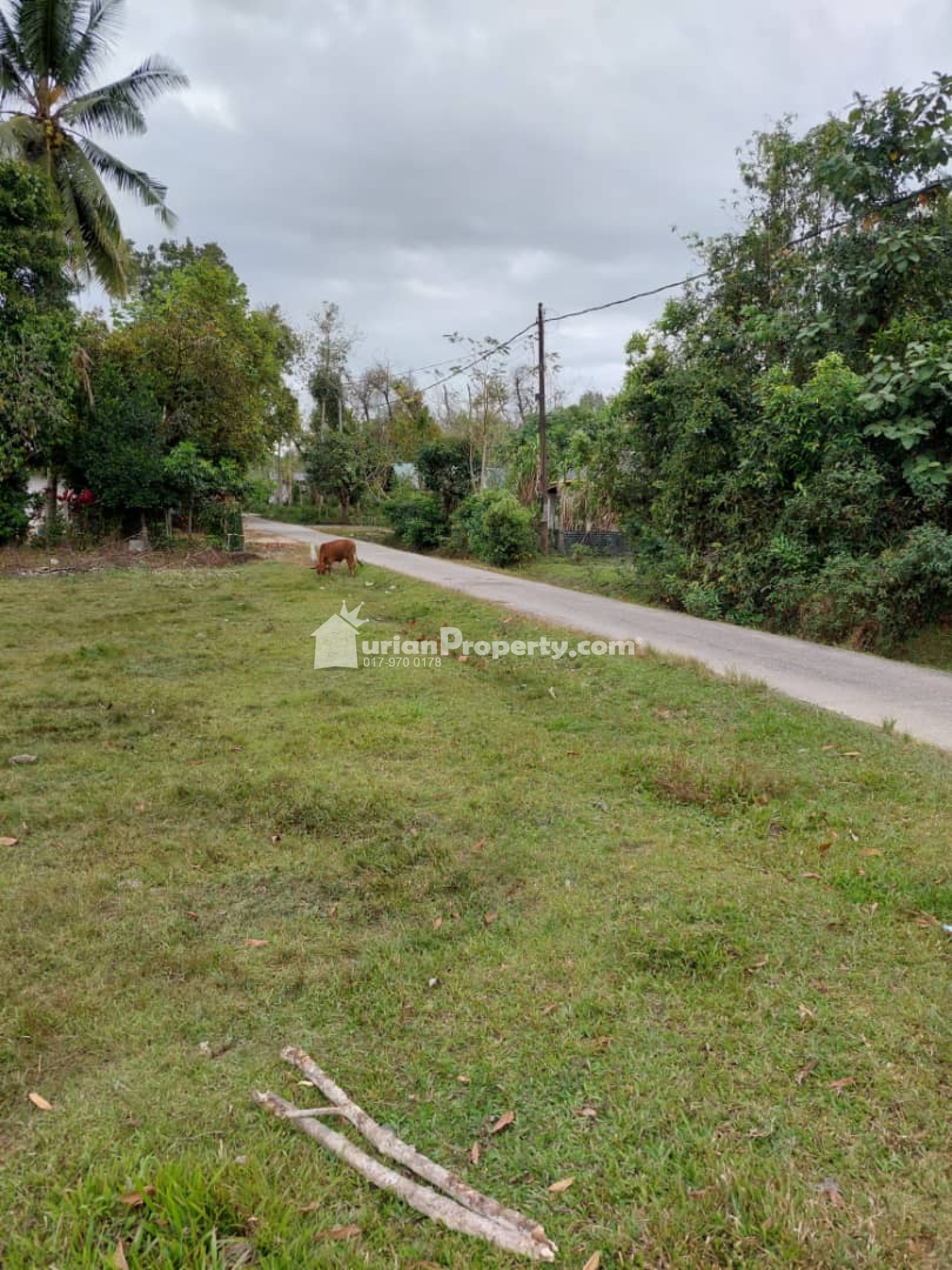 Agriculture Land For Sale at Pasir Mas