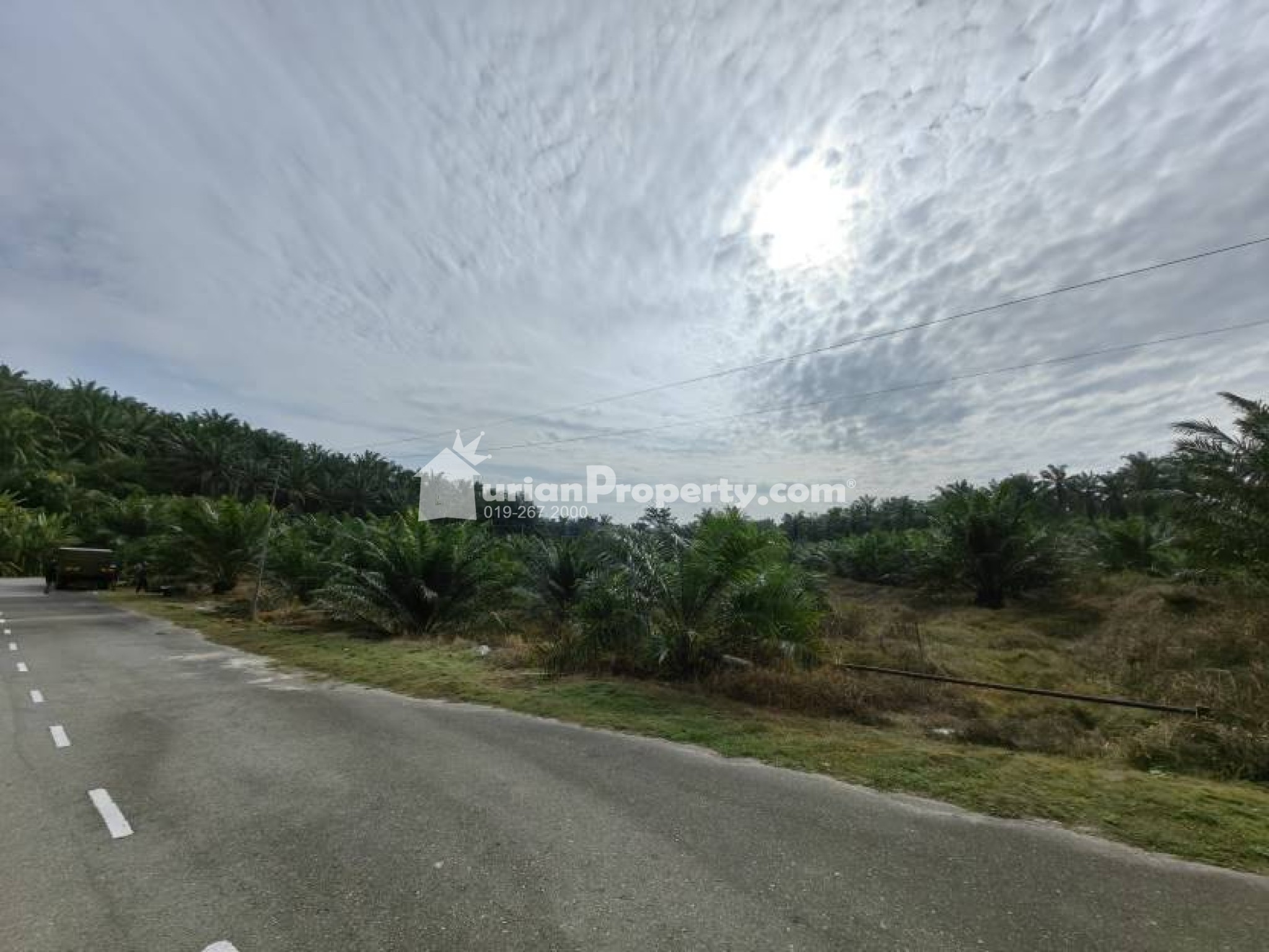 Agriculture Land For Sale at Bera