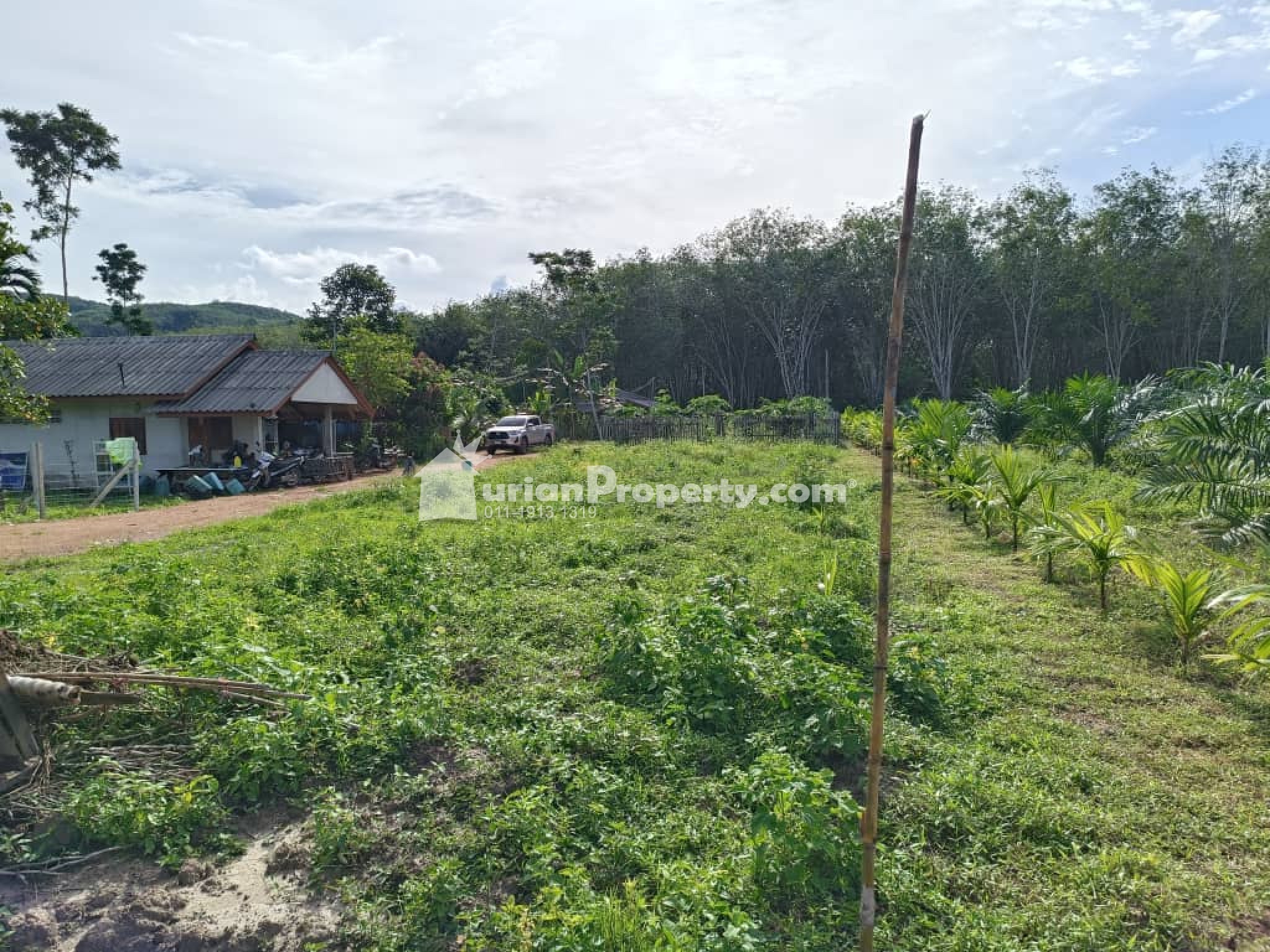 Agriculture Land For Sale at Bandar Baru Sungai Buaya