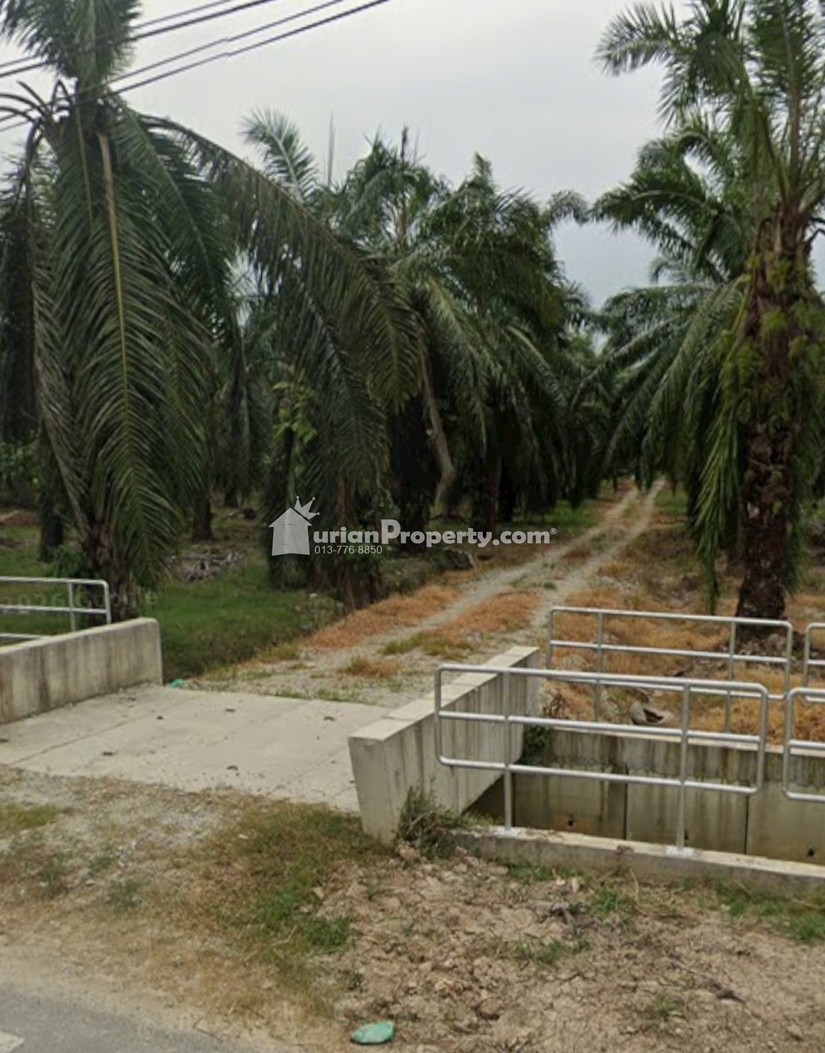 Agriculture Land For Sale at Telok Panglima Garang