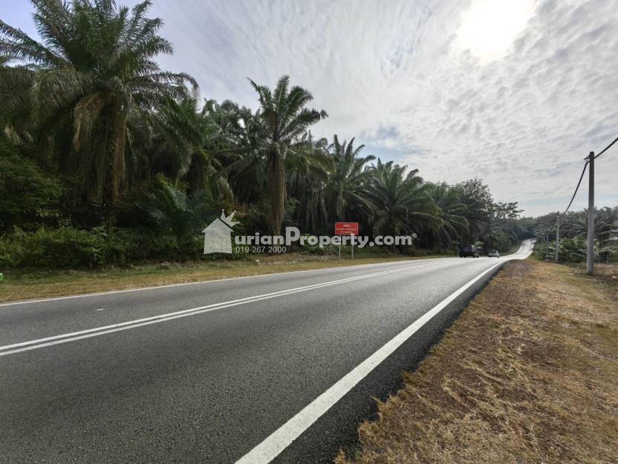 Agriculture Land For Sale at Bera