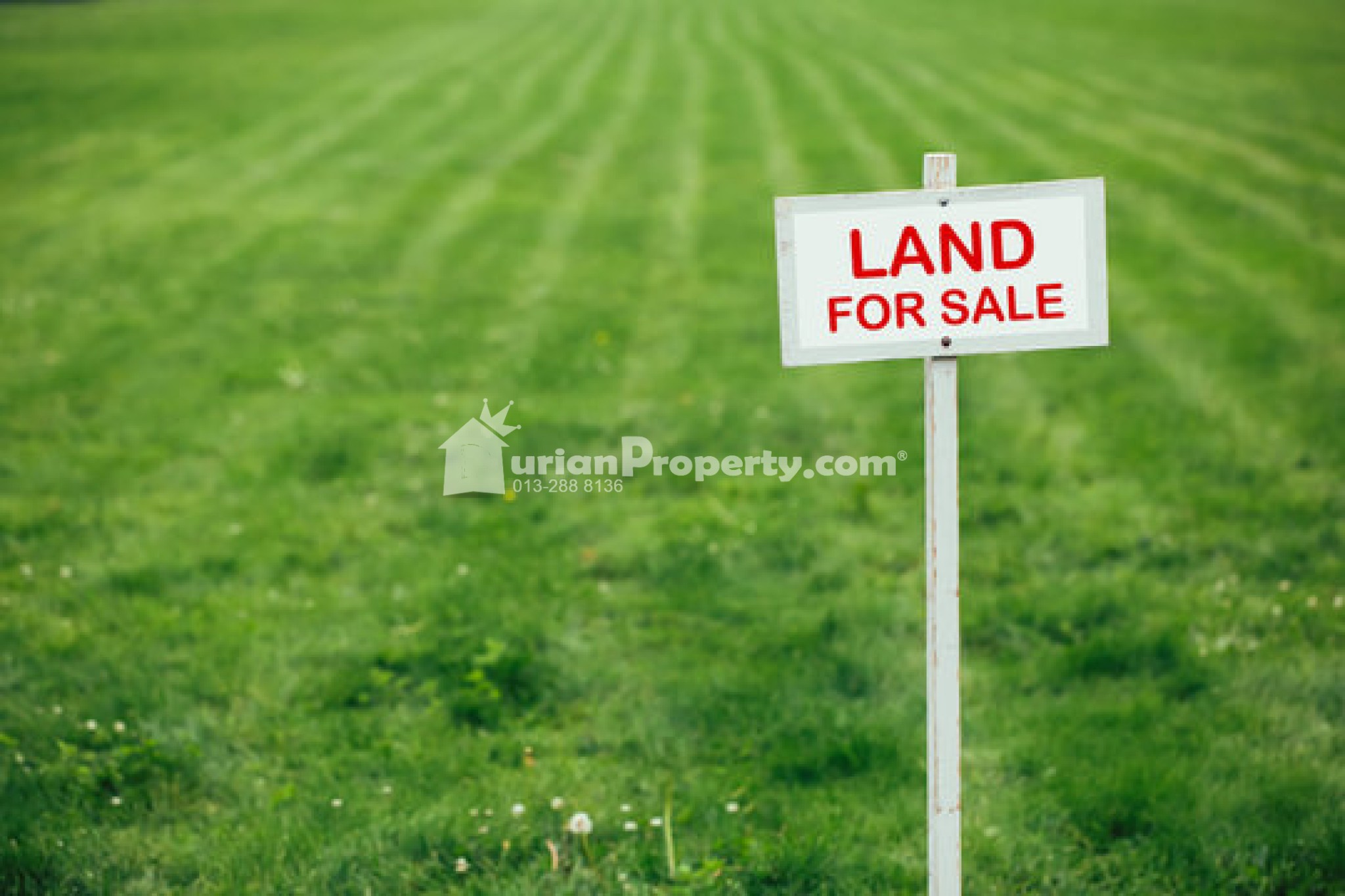 Agriculture Land For Sale at Hulu Langat