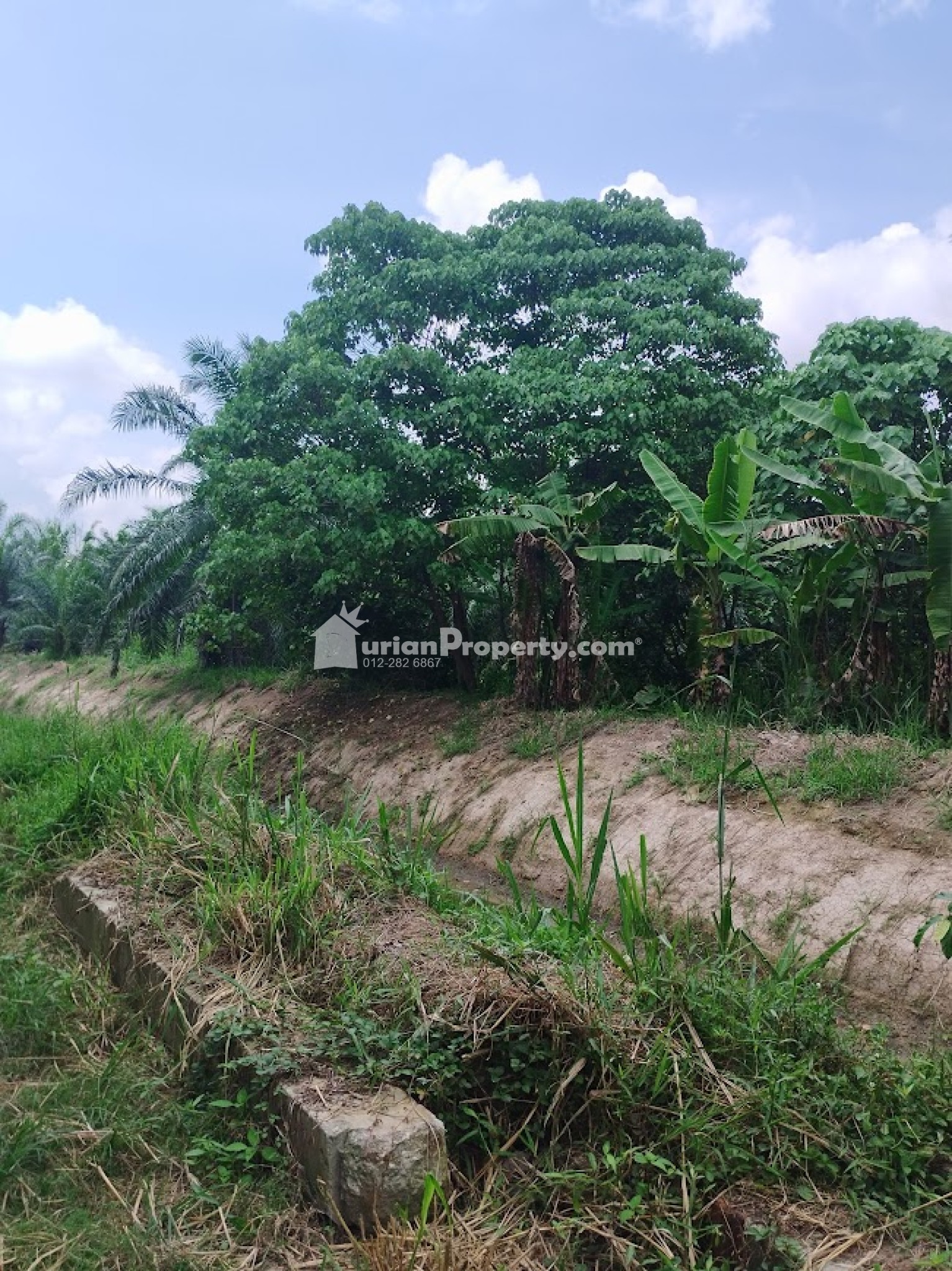 Agriculture Land For Sale at Telok Panglima Garang