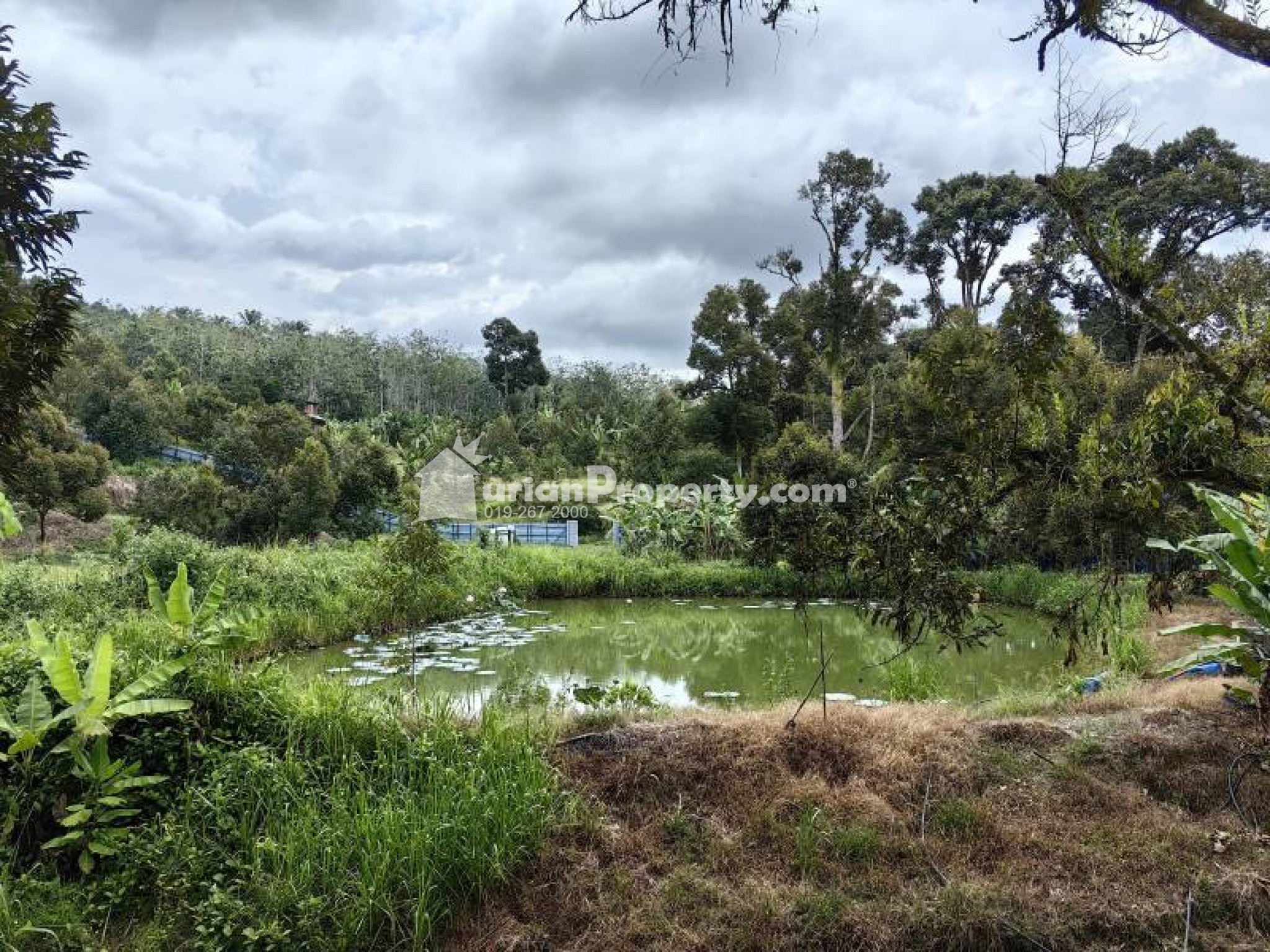 Agriculture Land For Sale at Chenor