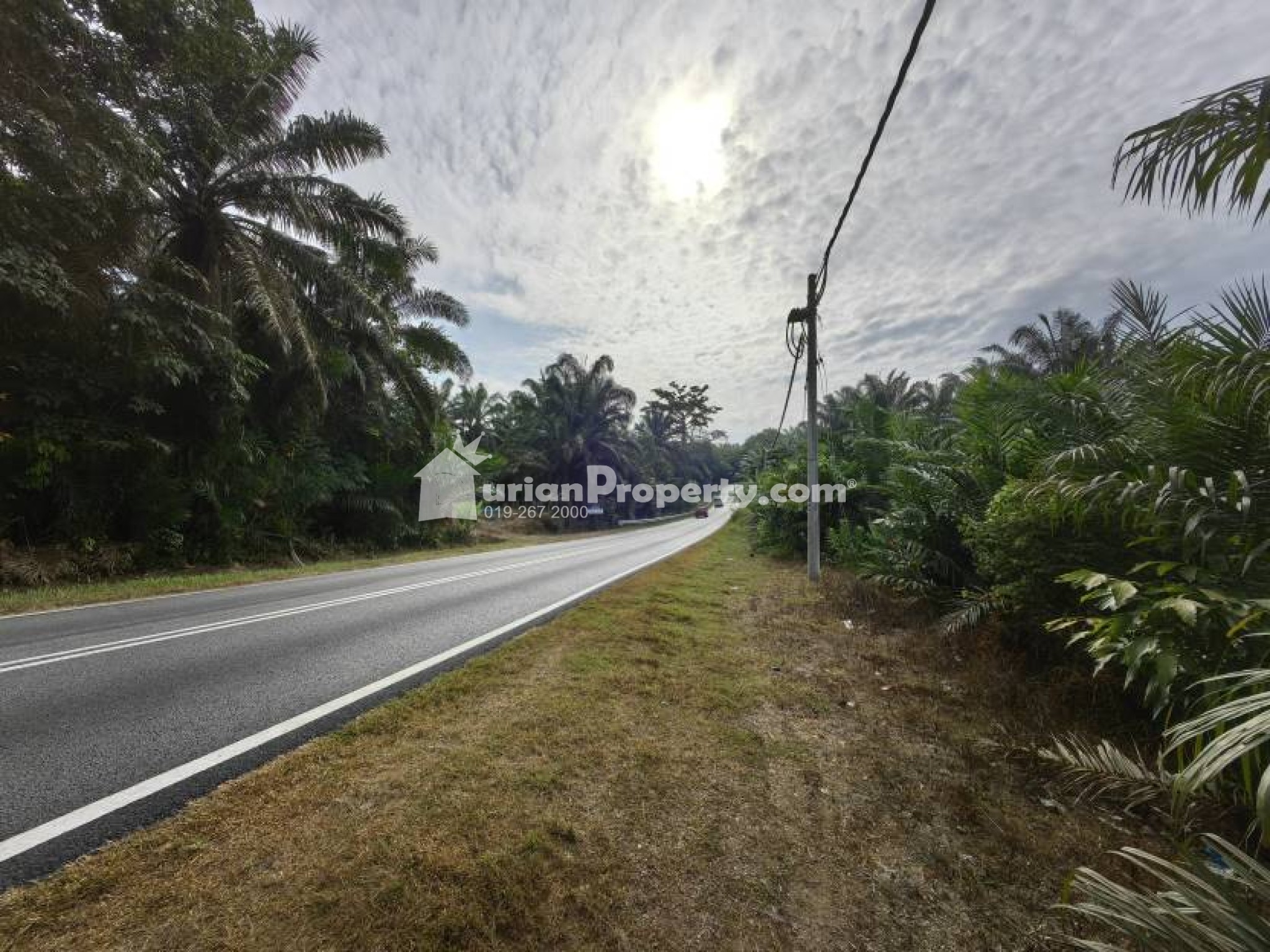 Agriculture Land For Sale at Bera
