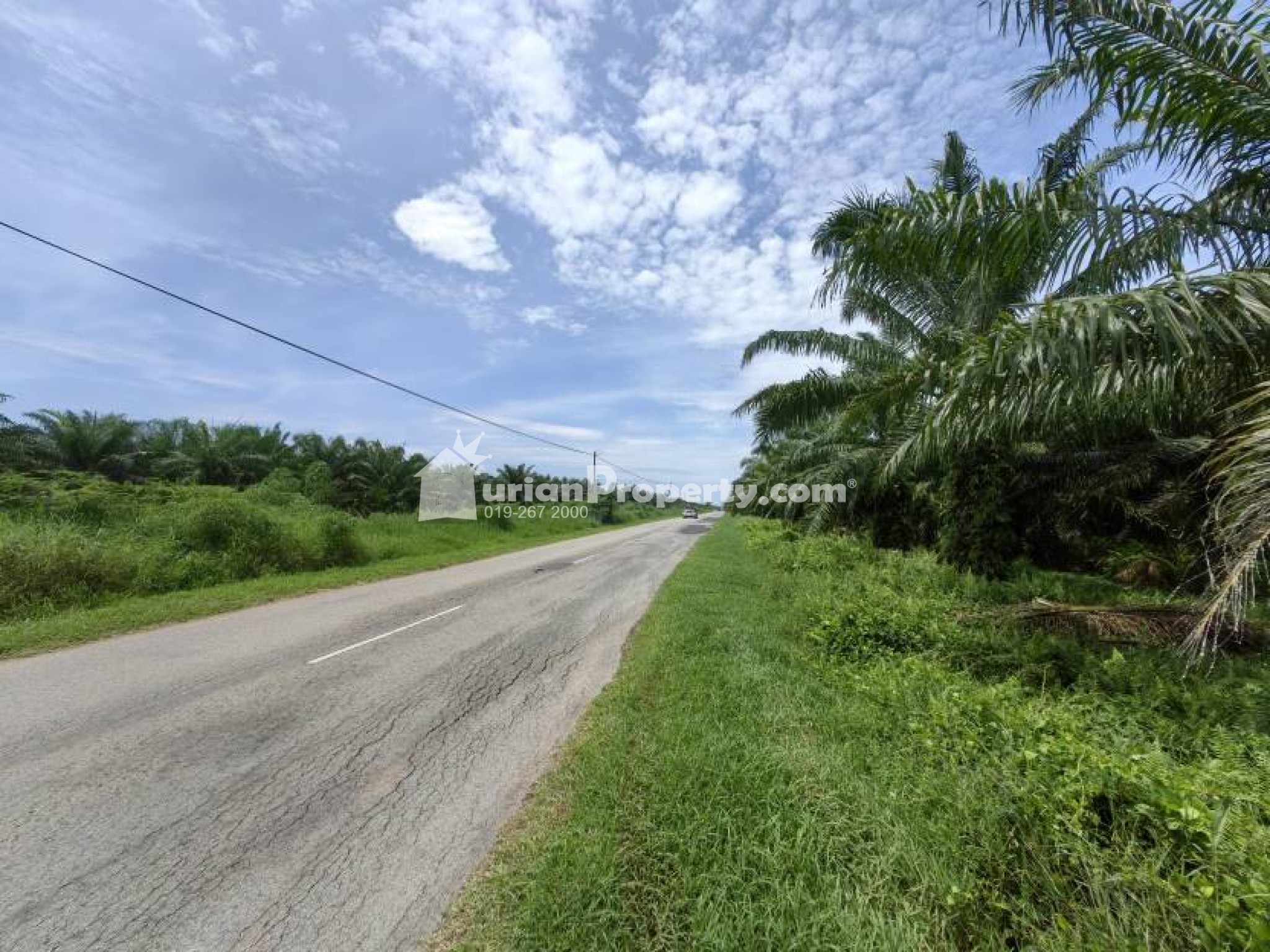 Agriculture Land For Sale at Tanjong Karang