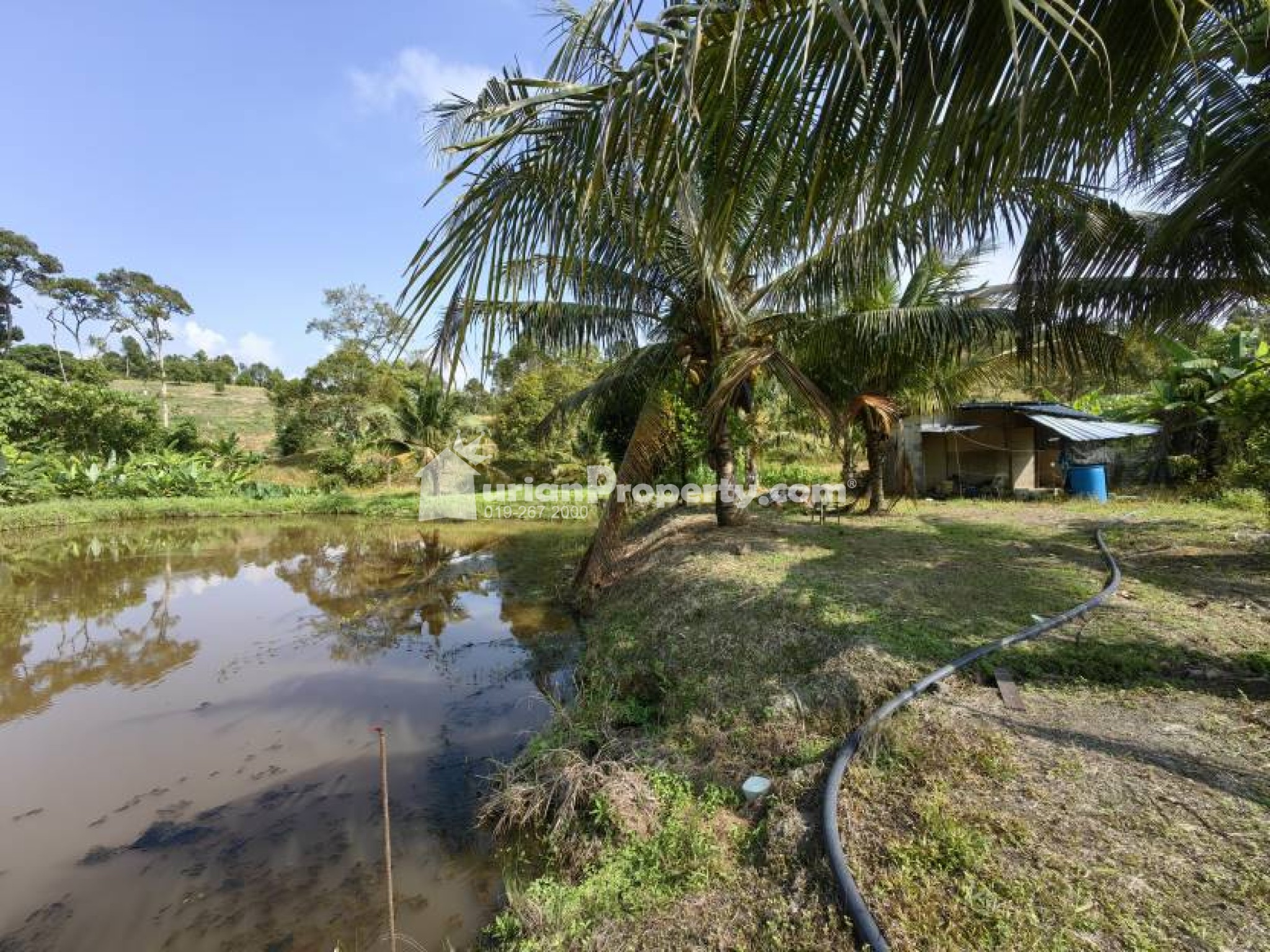 Agriculture Land For Sale at Raub