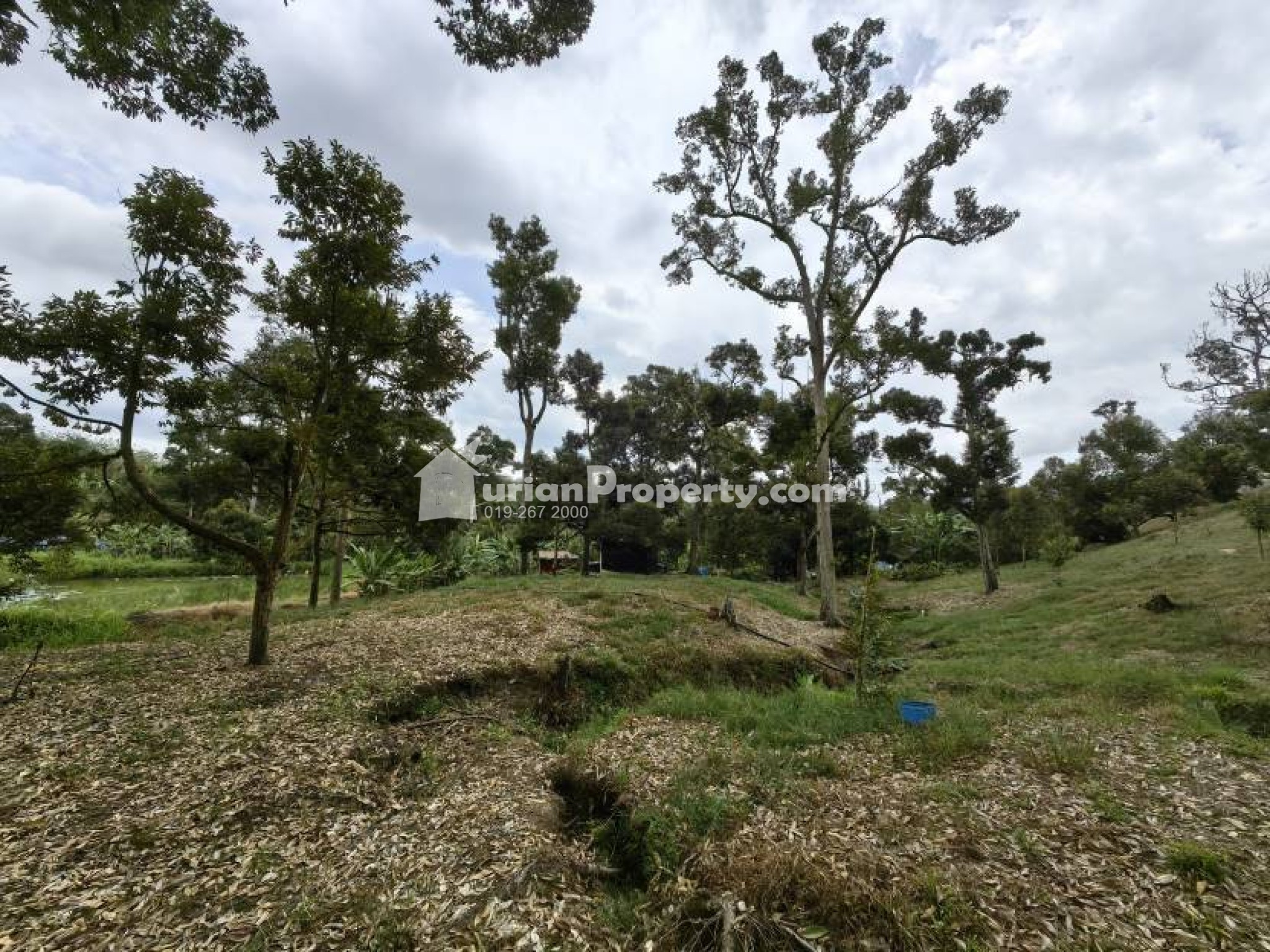Agriculture Land For Sale at Chenor