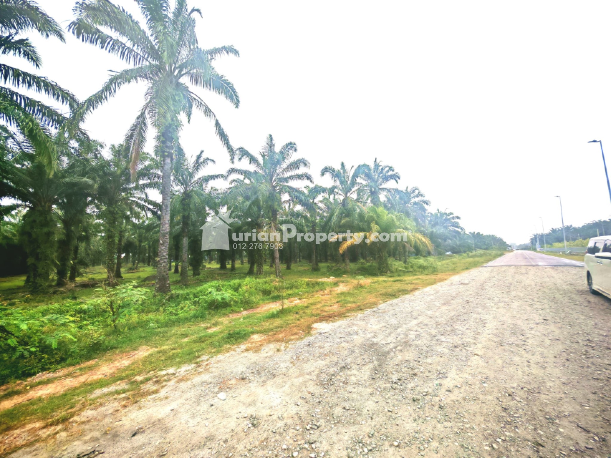 Agriculture Land For Sale at Dengkil