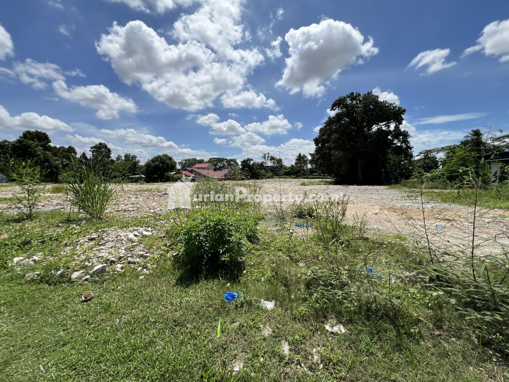 Agriculture Land For Sale at Sungai Buloh