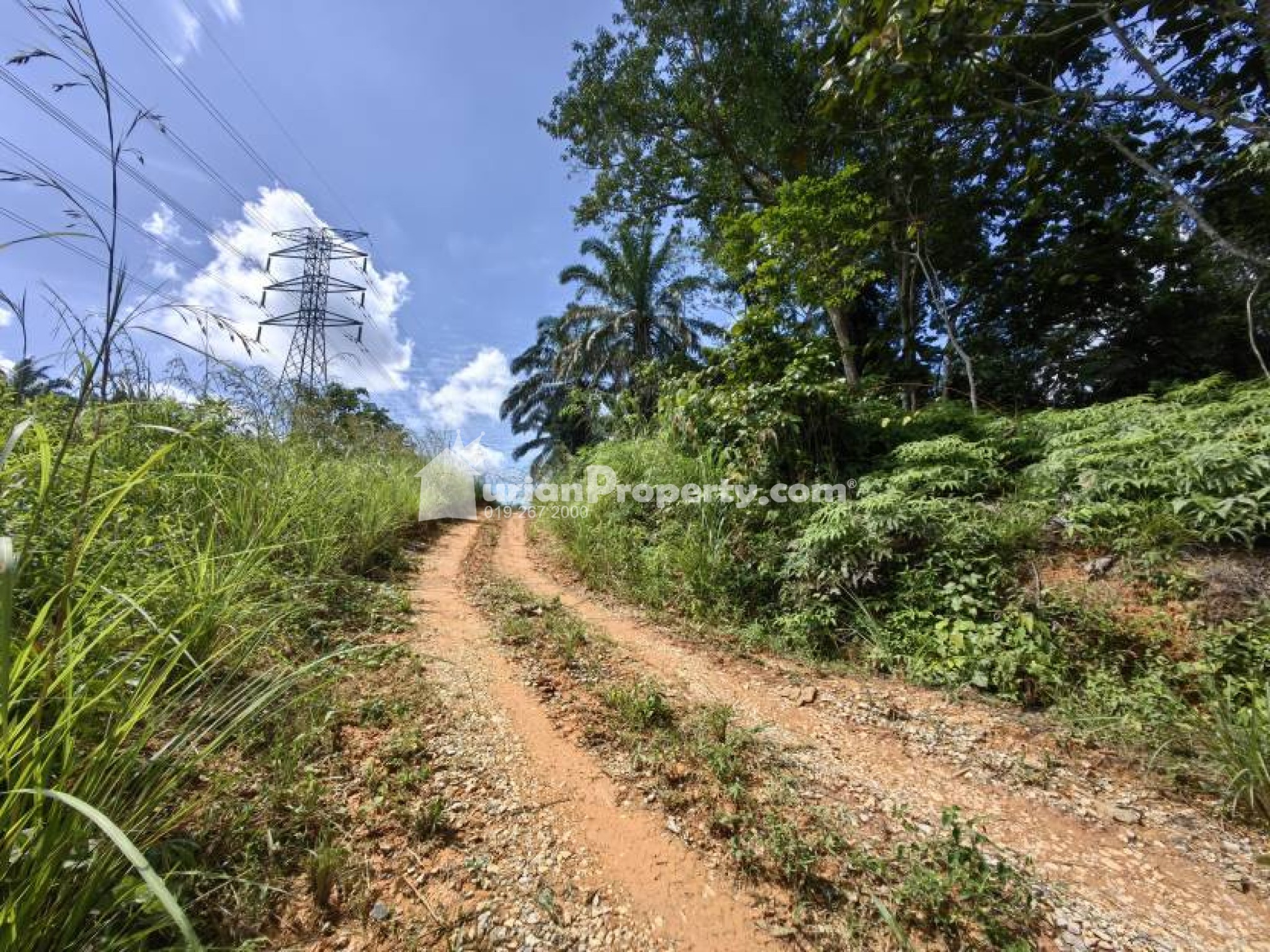 Agriculture Land For Sale at Kuala Lipis