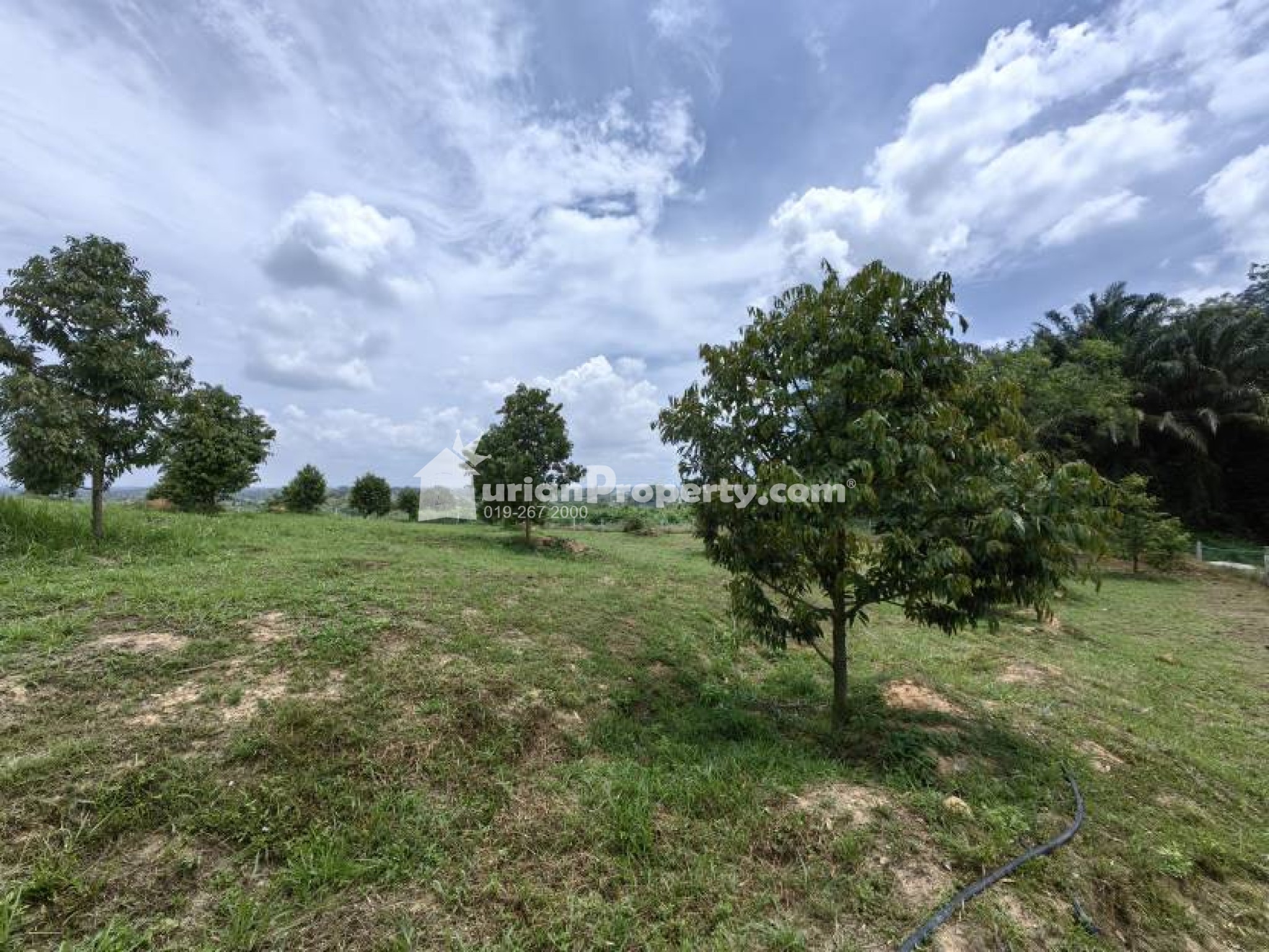 Agriculture Land For Sale at Ijok